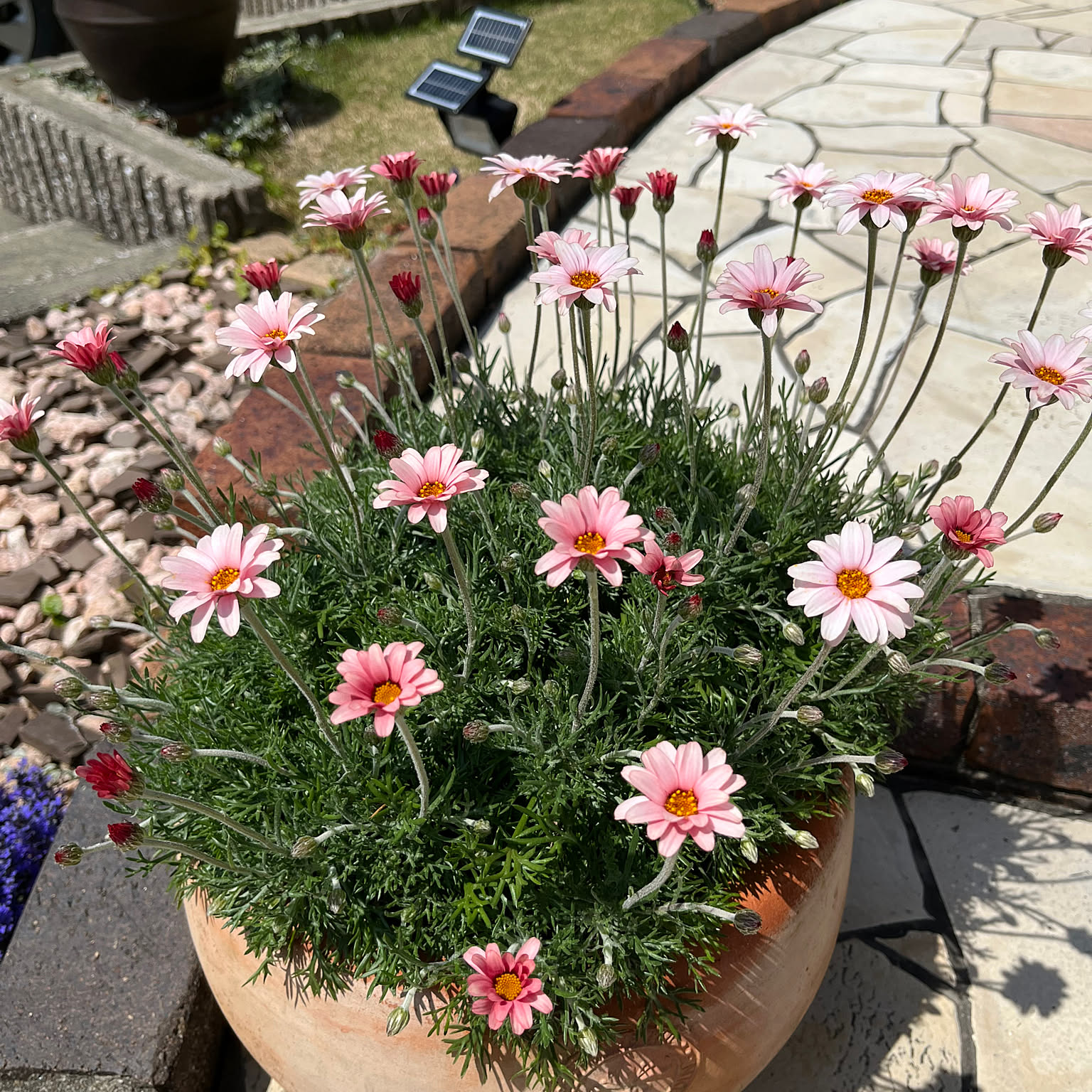 10f5abc86cedca8f27b509047d9bb5