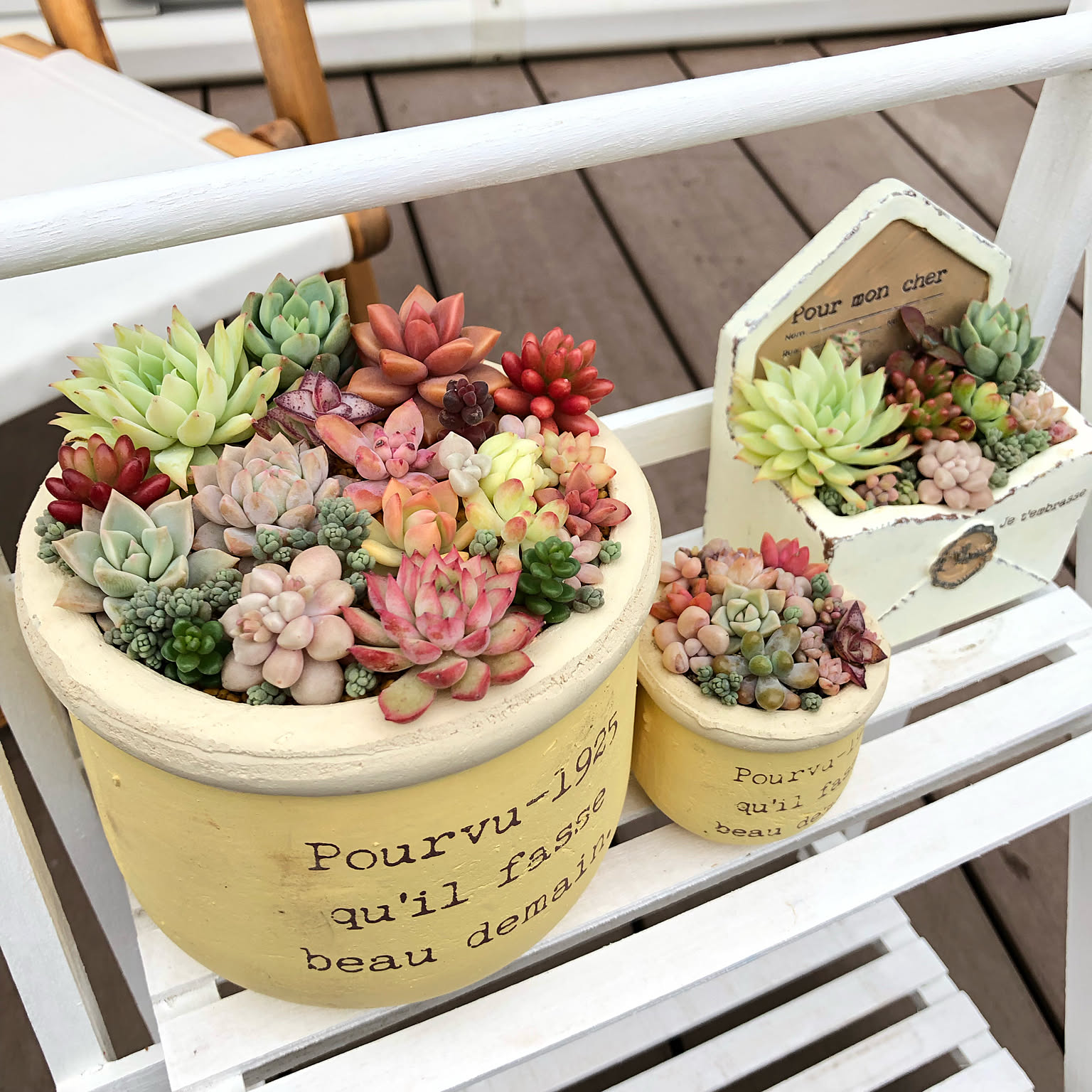 1106b65e5f10dc9d45612ee6321386