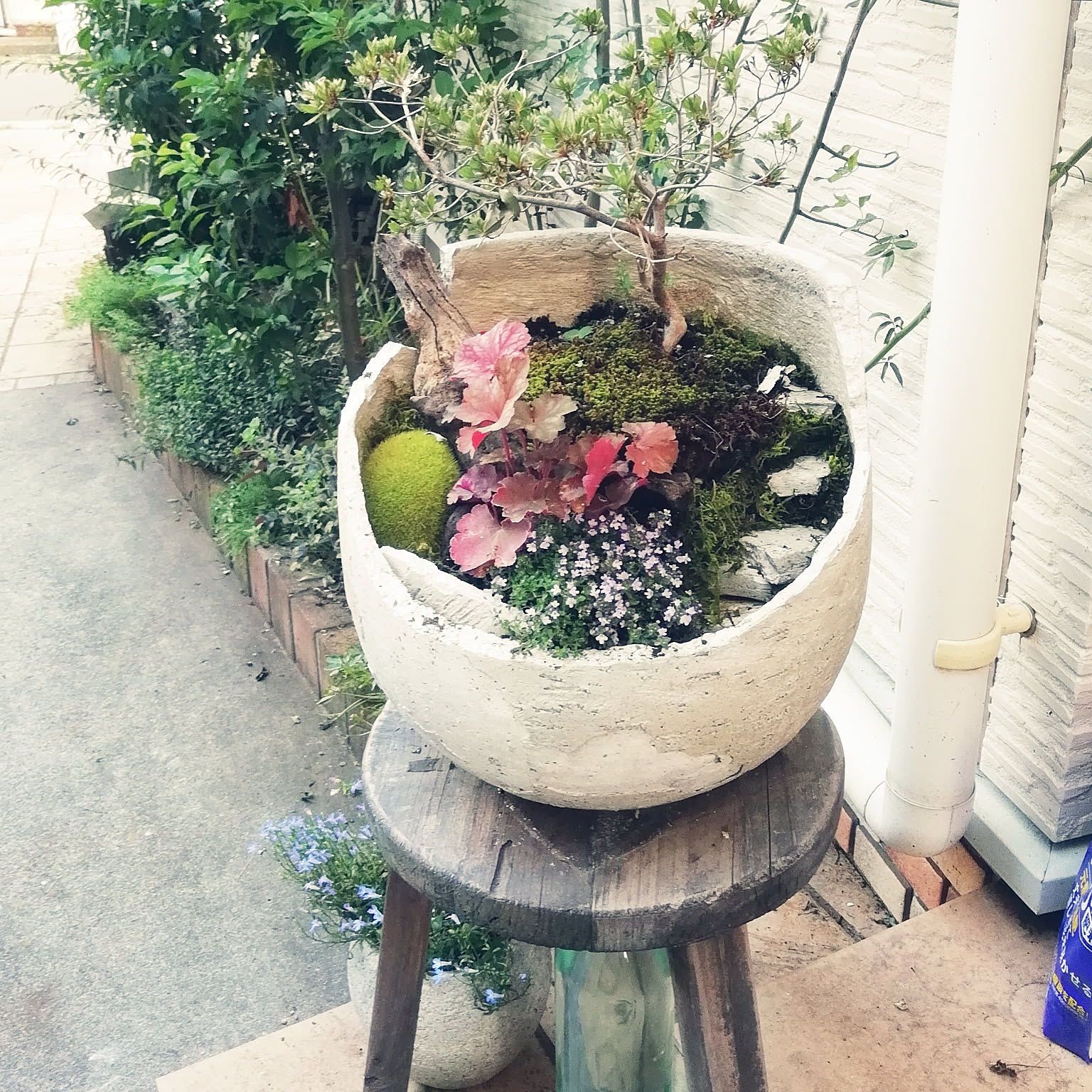 こ割れた植木鉢 割れた植木鉢 - البحث / X