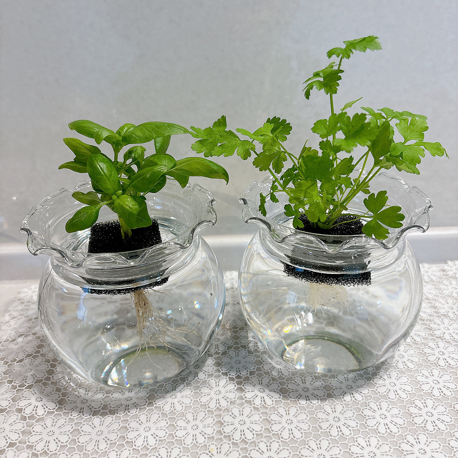 Amazon.co.jp: 花瓶 ガラス 木製 フラワーベース 北欧 S