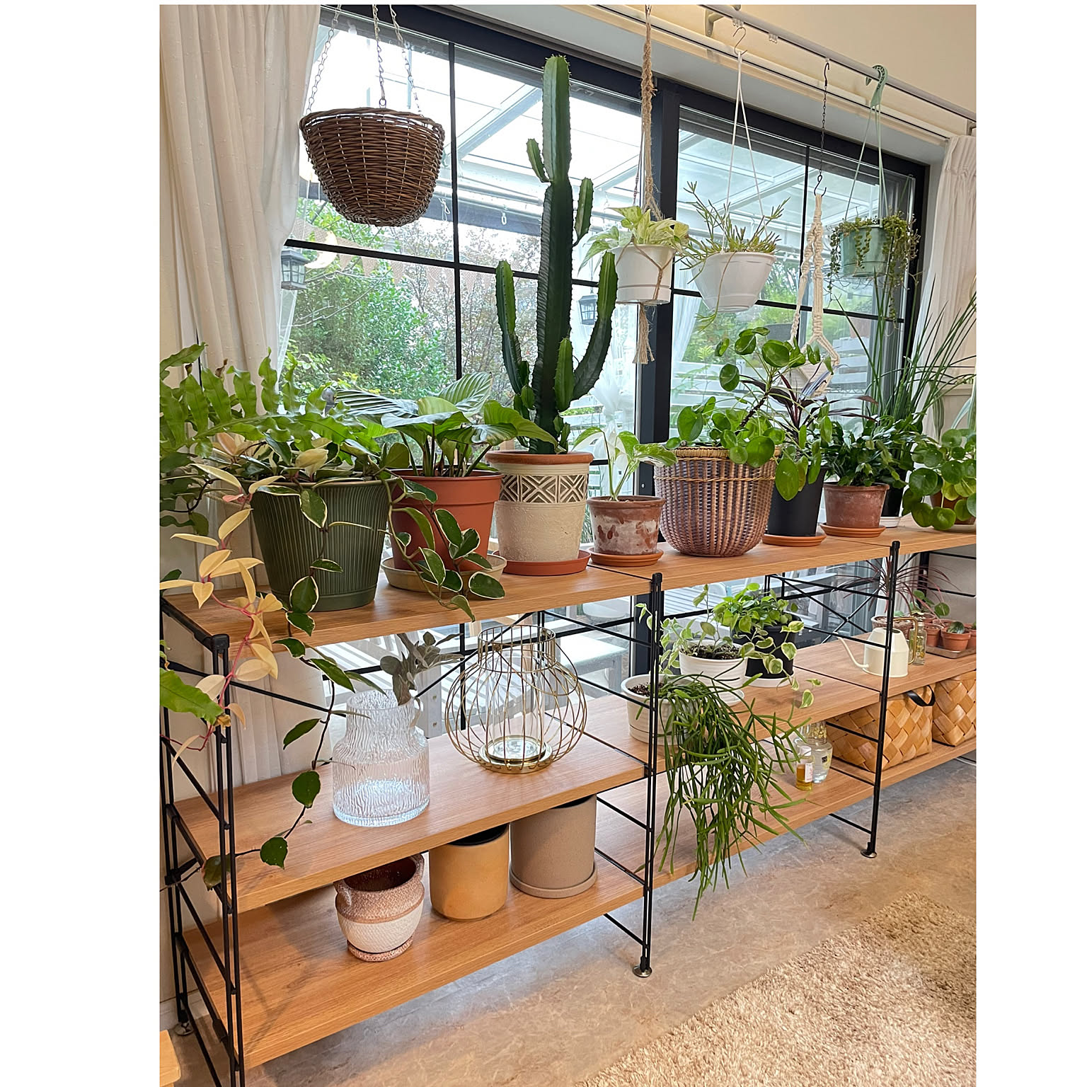 アクタス ウッド調 5段本棚 モダンデザイン（11/27まで） H.W.F ブック