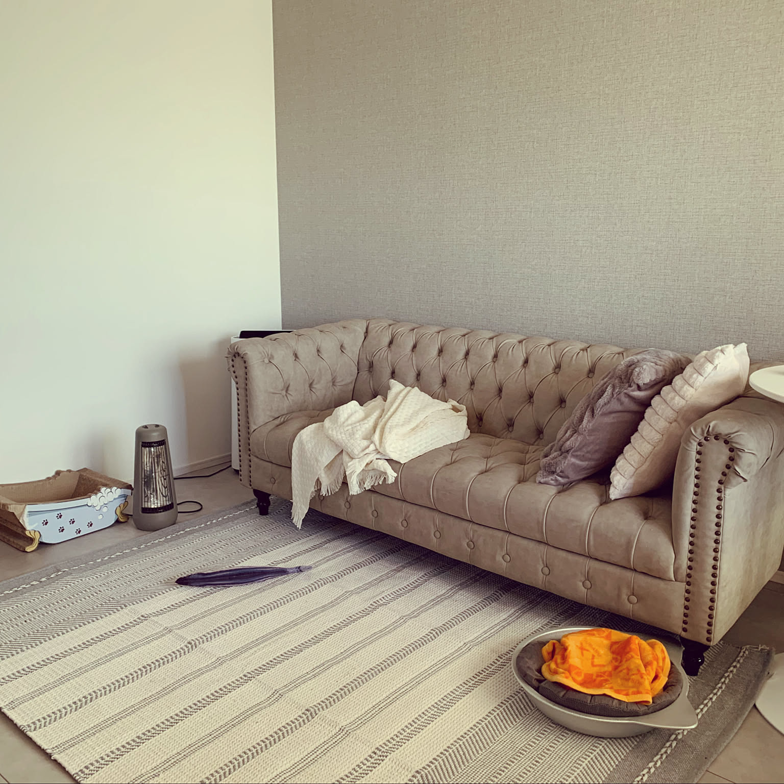 1204fffca0b36c0e37a6c7e65a2eaa