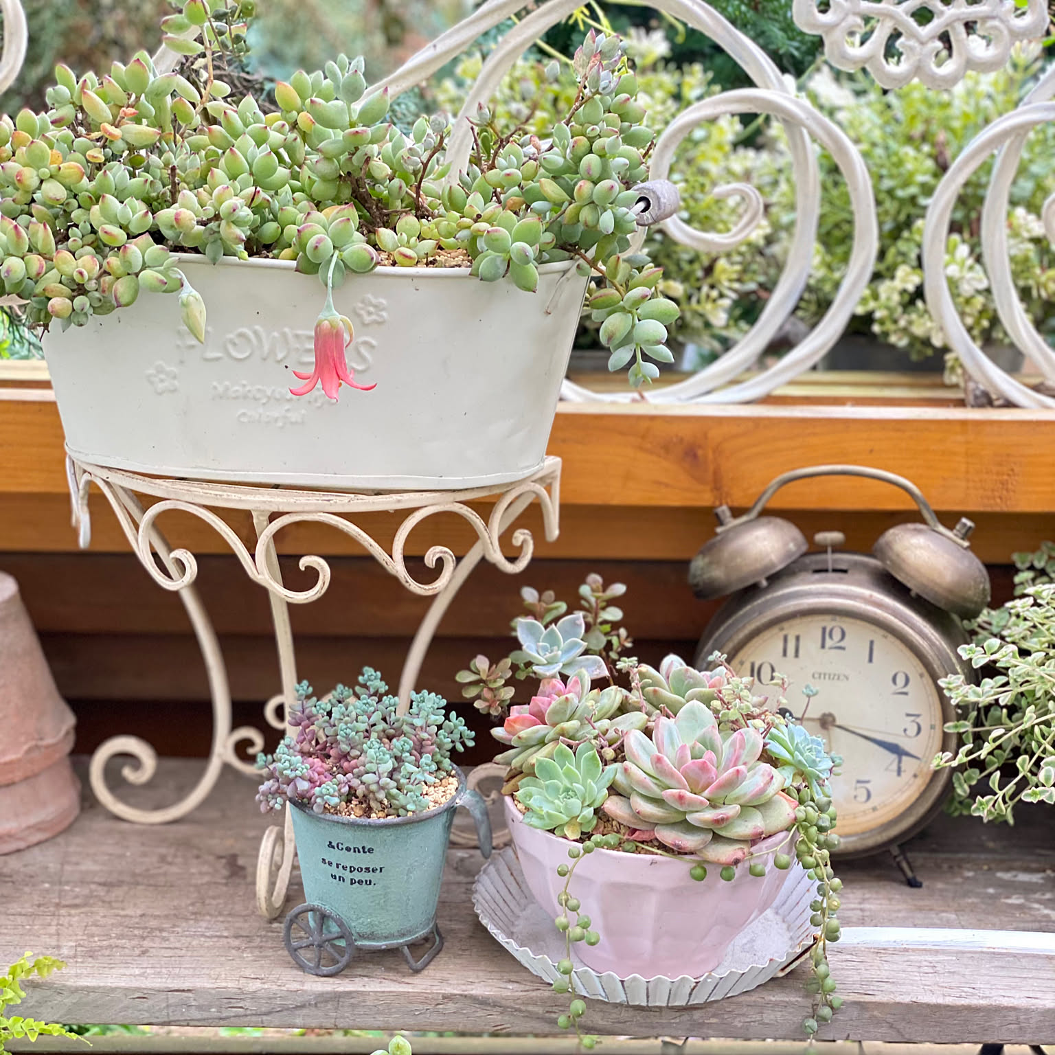 ペンデンスのインテリア実例 ｜ RoomClip（ルームクリップ）