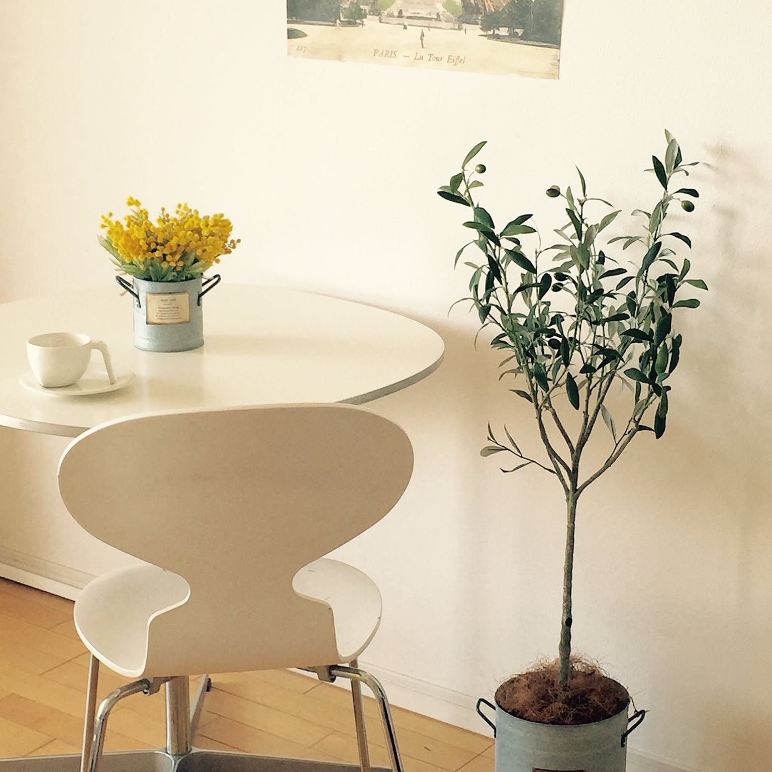 リビング オリーブグリーンのインテリア実例 ｜ RoomClip（ルーム