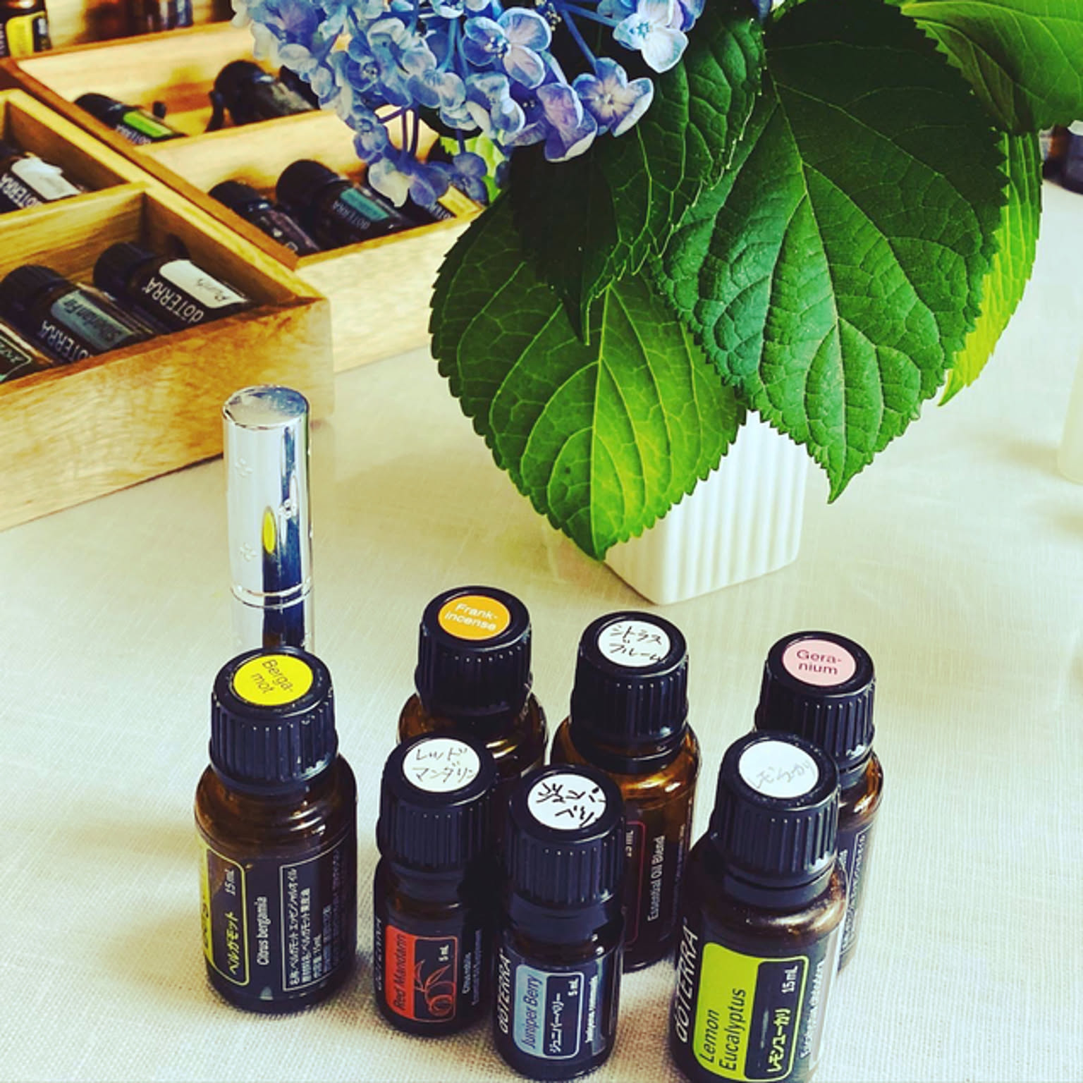doTERRA ドテラ アロマエッシェンシャルオイル（ドテラ アロマ