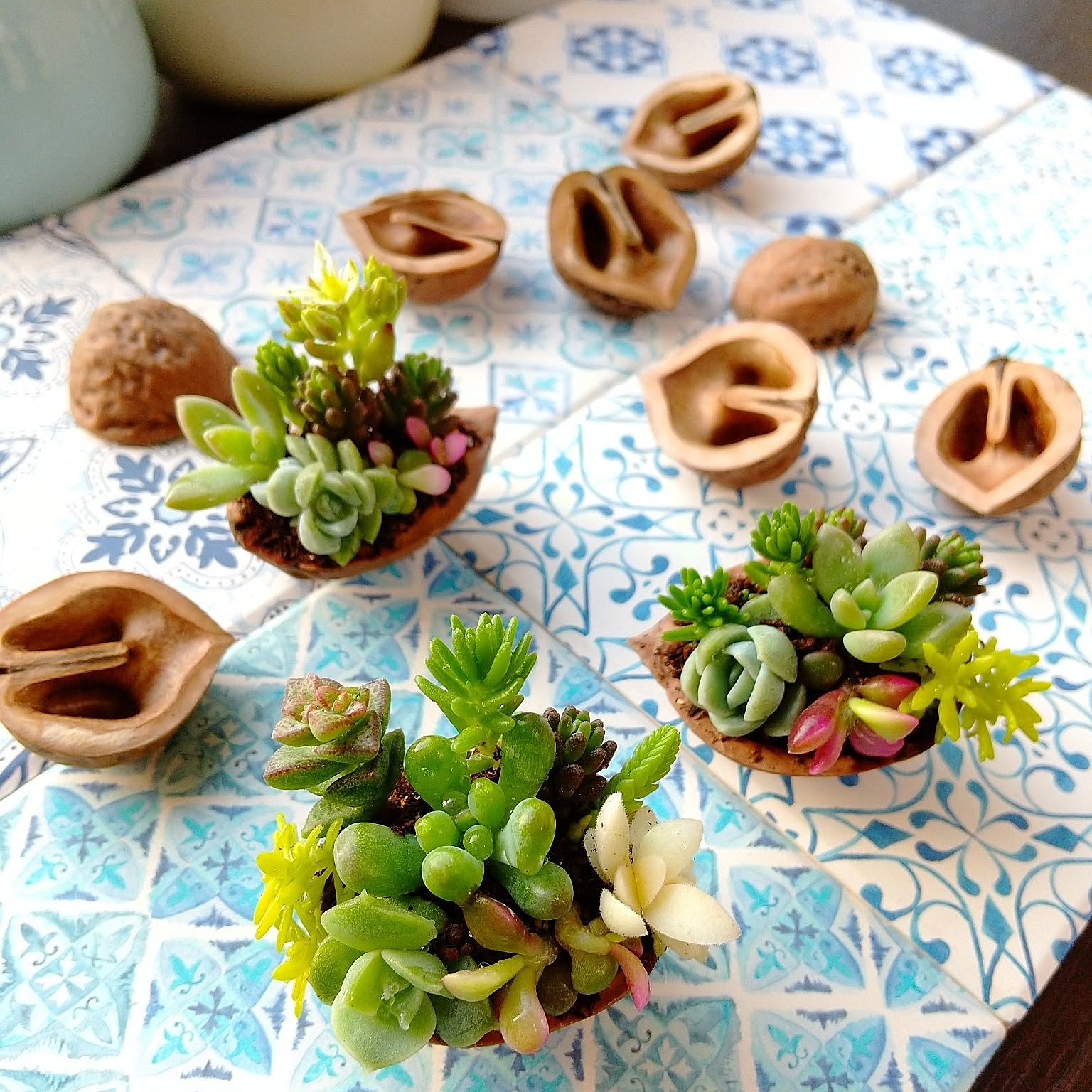 13af480b95c76b25ae6f039c17f28f