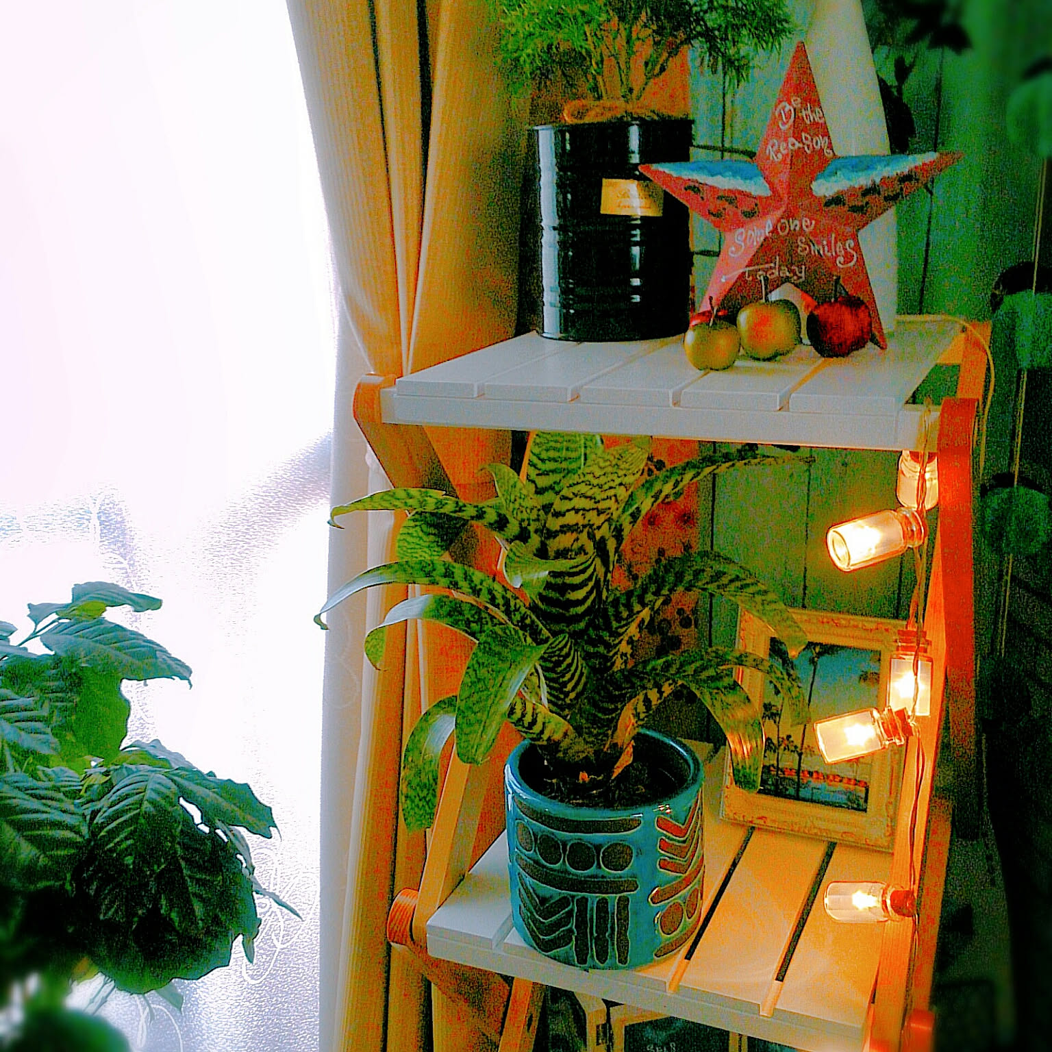 14f7407d7bac47afd96ab4826d9d77