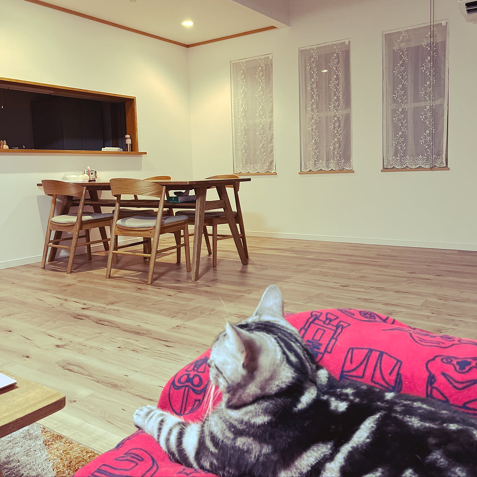 unico ストレートカーテンのおすすめ商品とおしゃれな実例 ｜ RoomClip