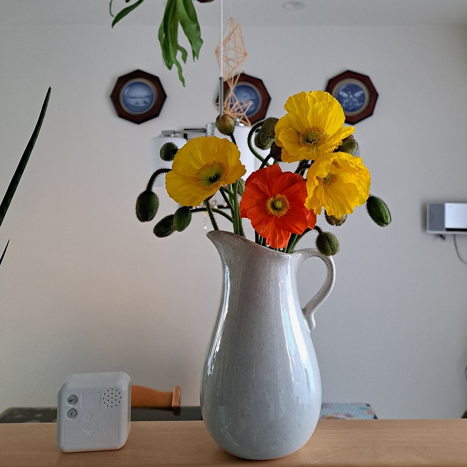 花瓶 ポピーのおすすめ商品とおしゃれな実例 ｜ RoomClip