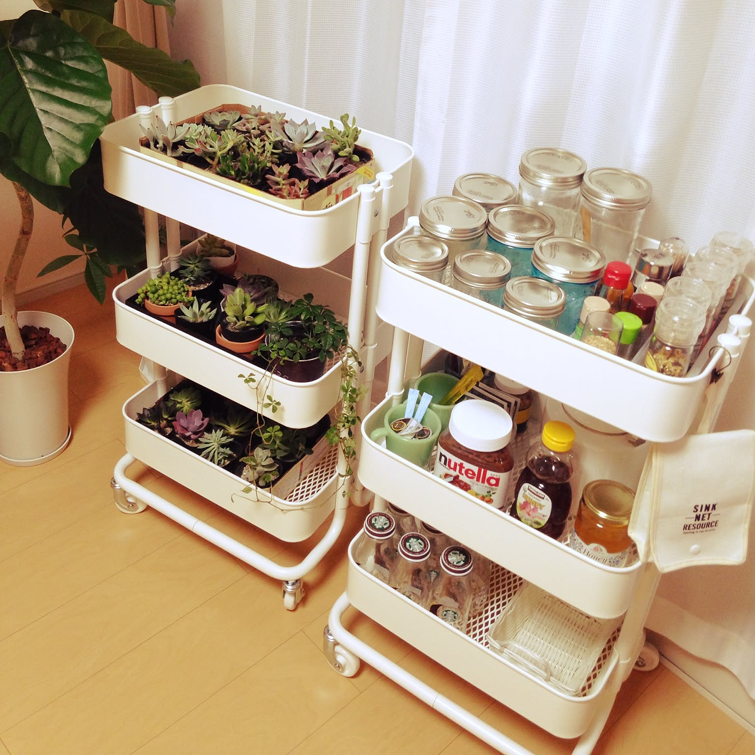 coco様 多肉植物棚　GAI-7AW1 2点目 Chocolate-colored succulents planted in a rust can - YouTube