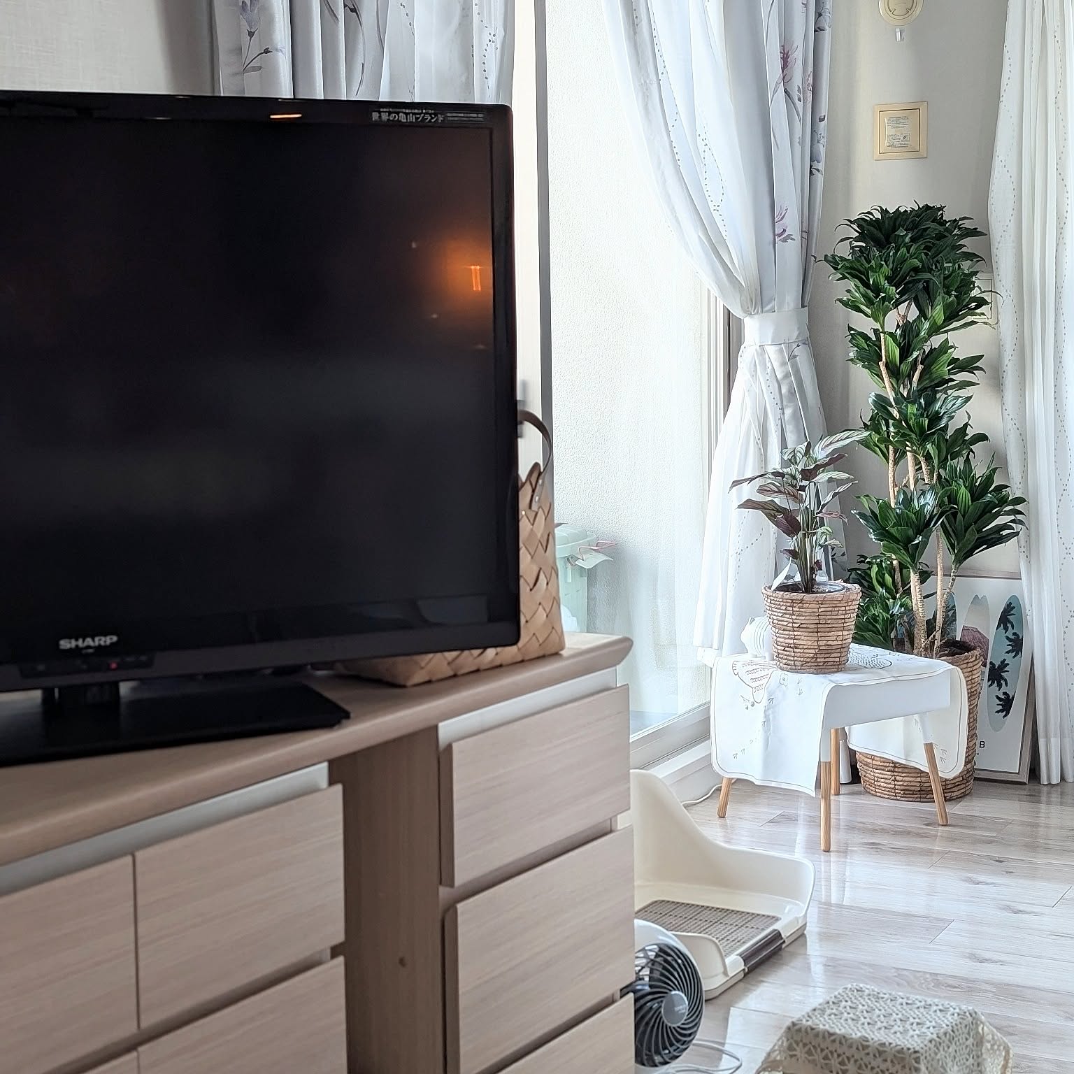 パモウナテレビボードのおすすめ商品とおしゃれな実例 パモウナテレビボードのおすすめ商品とおしゃれな実例