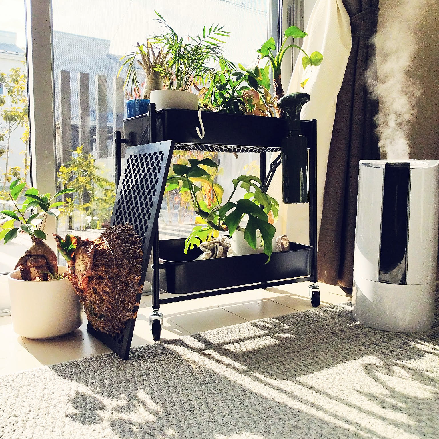 棚/植物のある暮らし/観葉植物ワゴン/キッチンワゴン/観葉植物