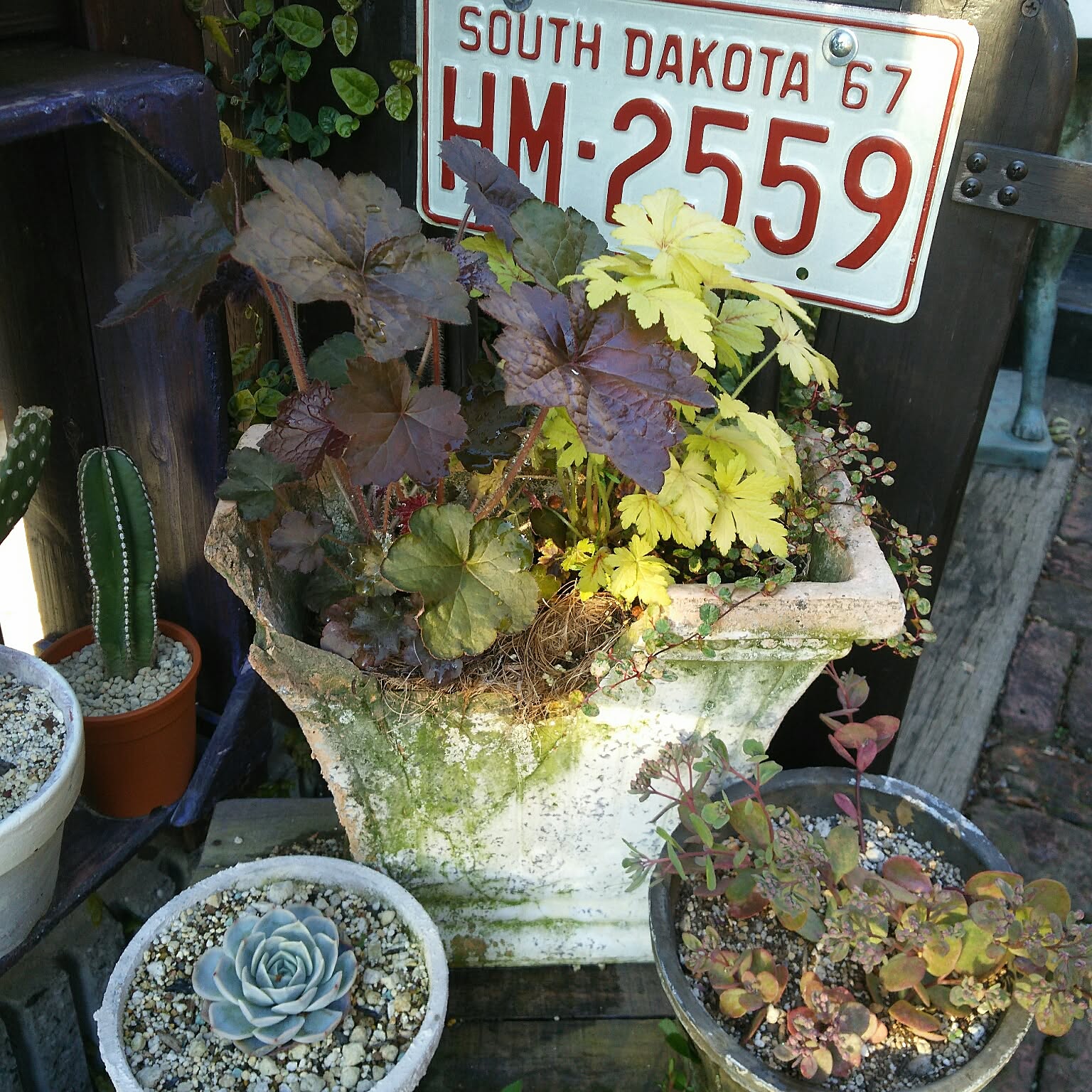 16a096bdde1d158f6bf36247862110