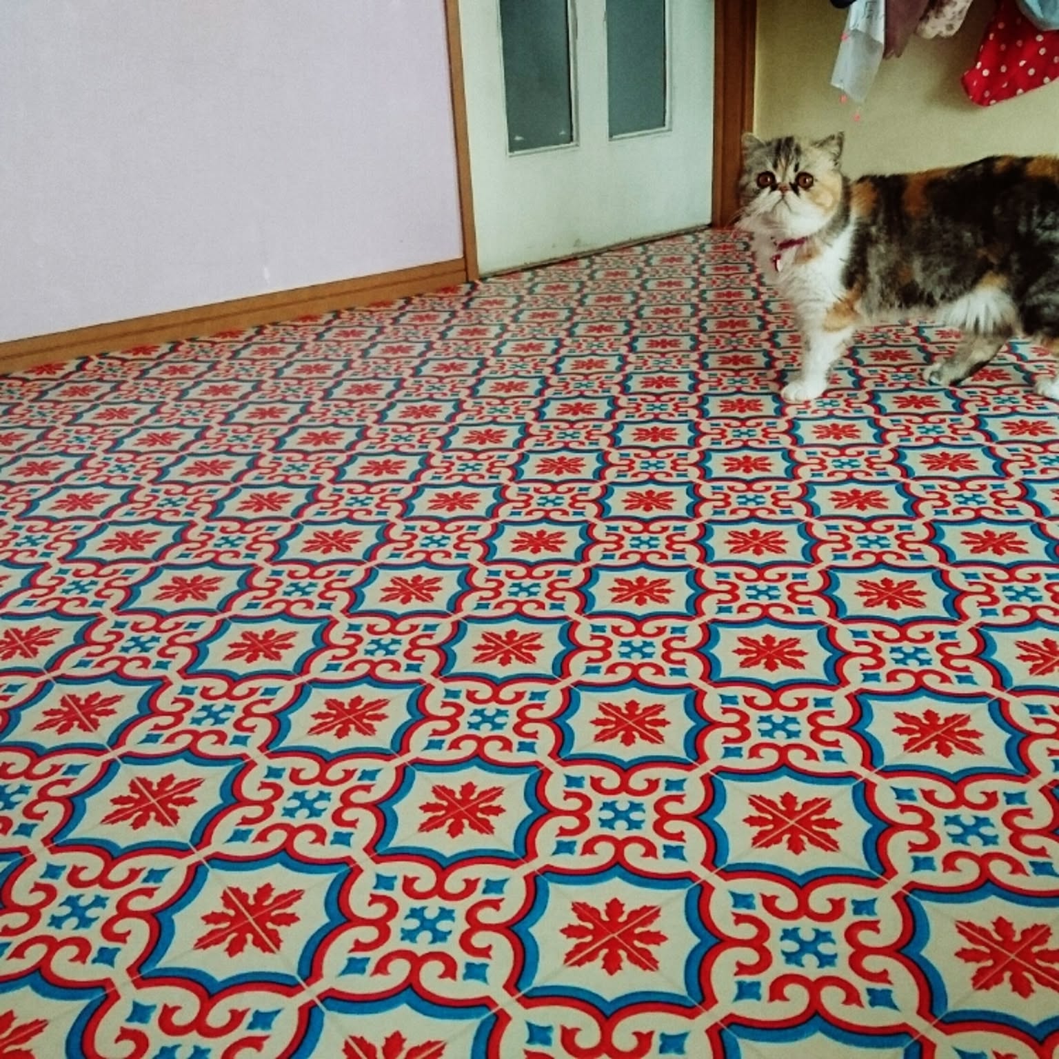 182ed373745fd59e112075da5e0551