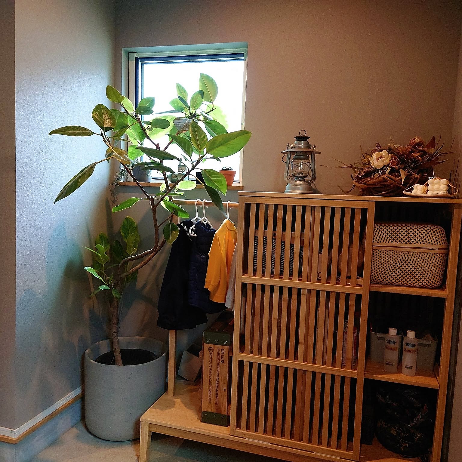 玄関/入り口/IKEA/植物/玄関ディスプレイ/玄関収納などの 玄関/入り口/IKEA/植物/玄関ディスプレイ/玄関収納などの