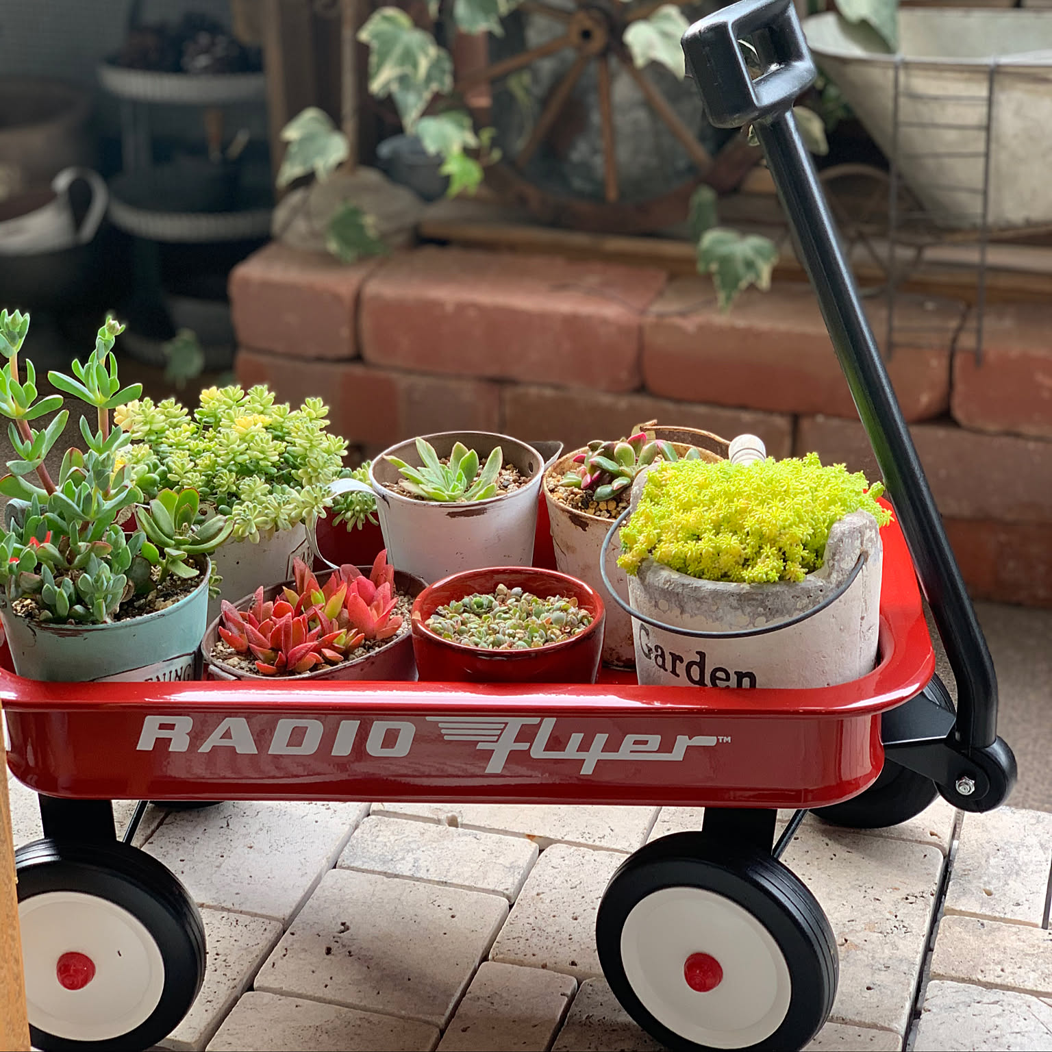 ラジオフライヤー　コストコ ラジオフライヤー #3600の在庫情報:コストコで在庫番