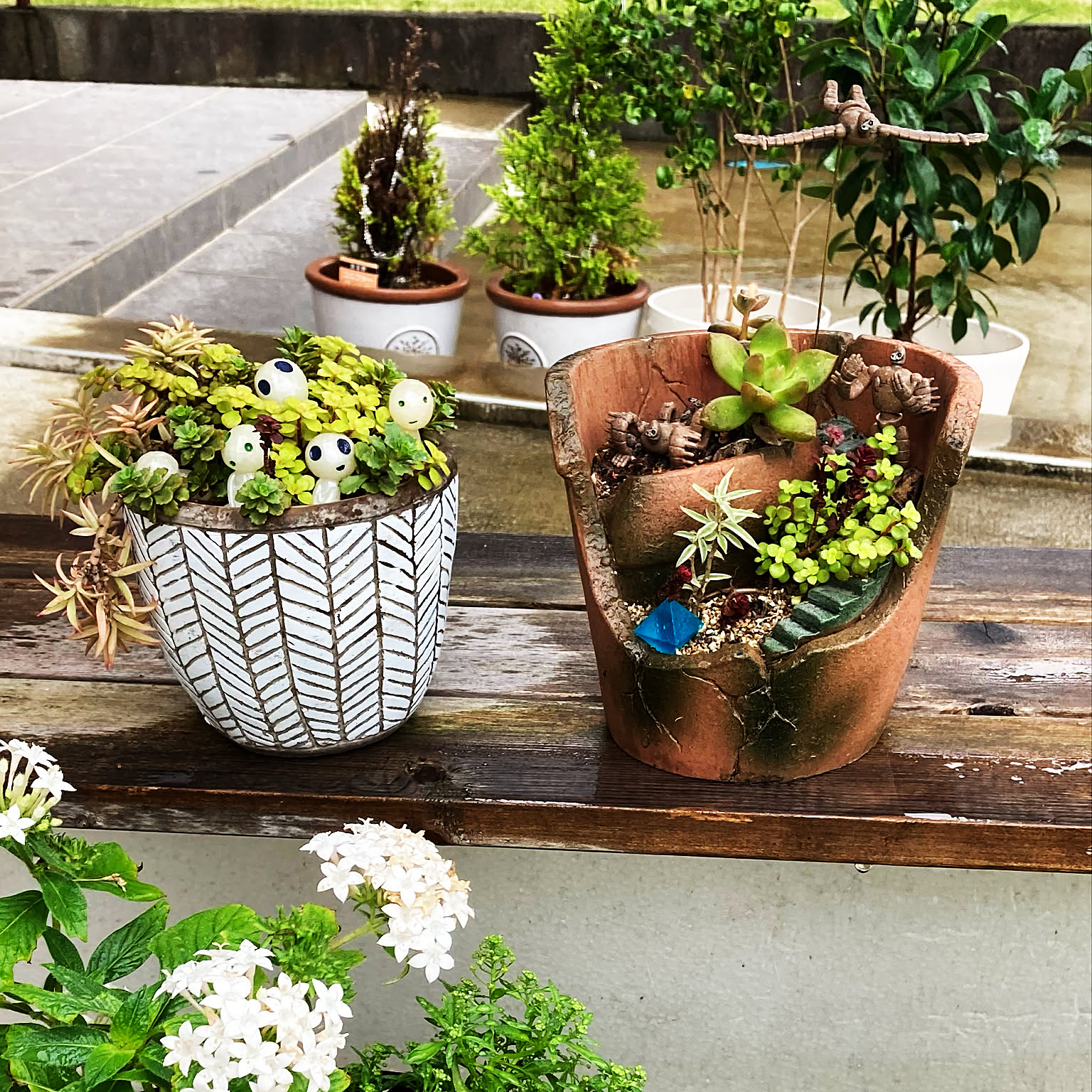 多肉植物 フラワースタンドDIYのインテリア・手作りの実例