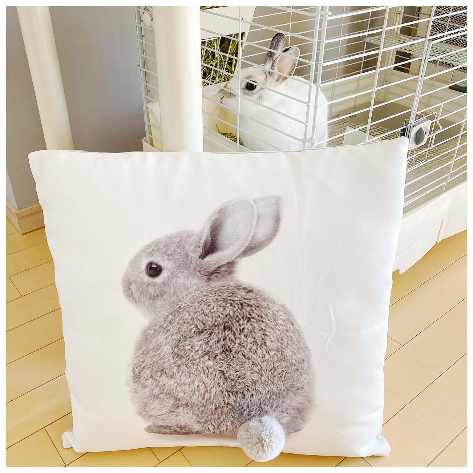 19cd5575c949333569cb451f67613a