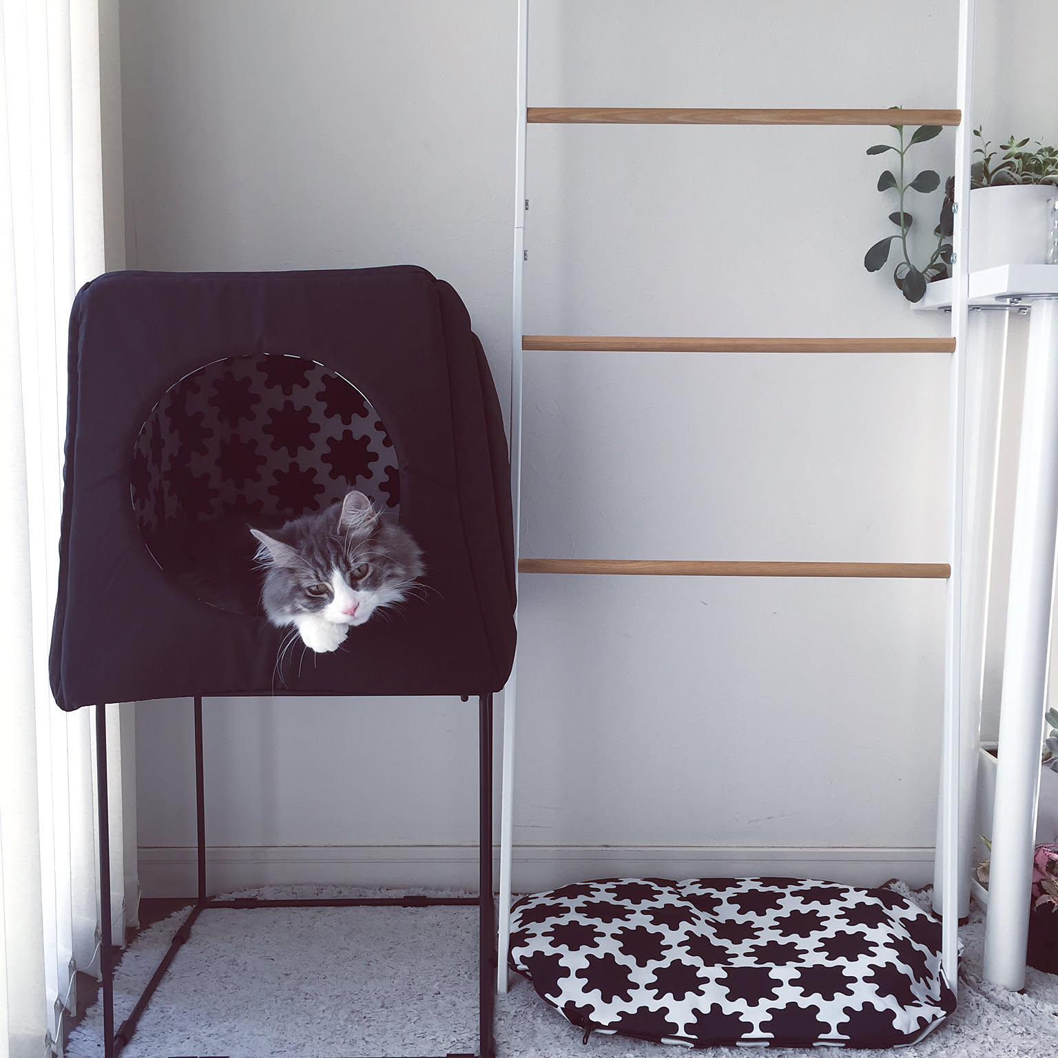 【新品】IKEA 猫 キャットハウス KALLAX ホワイト アンジェジア] Haoshu ストレスキャットハウス PLUS バージョン