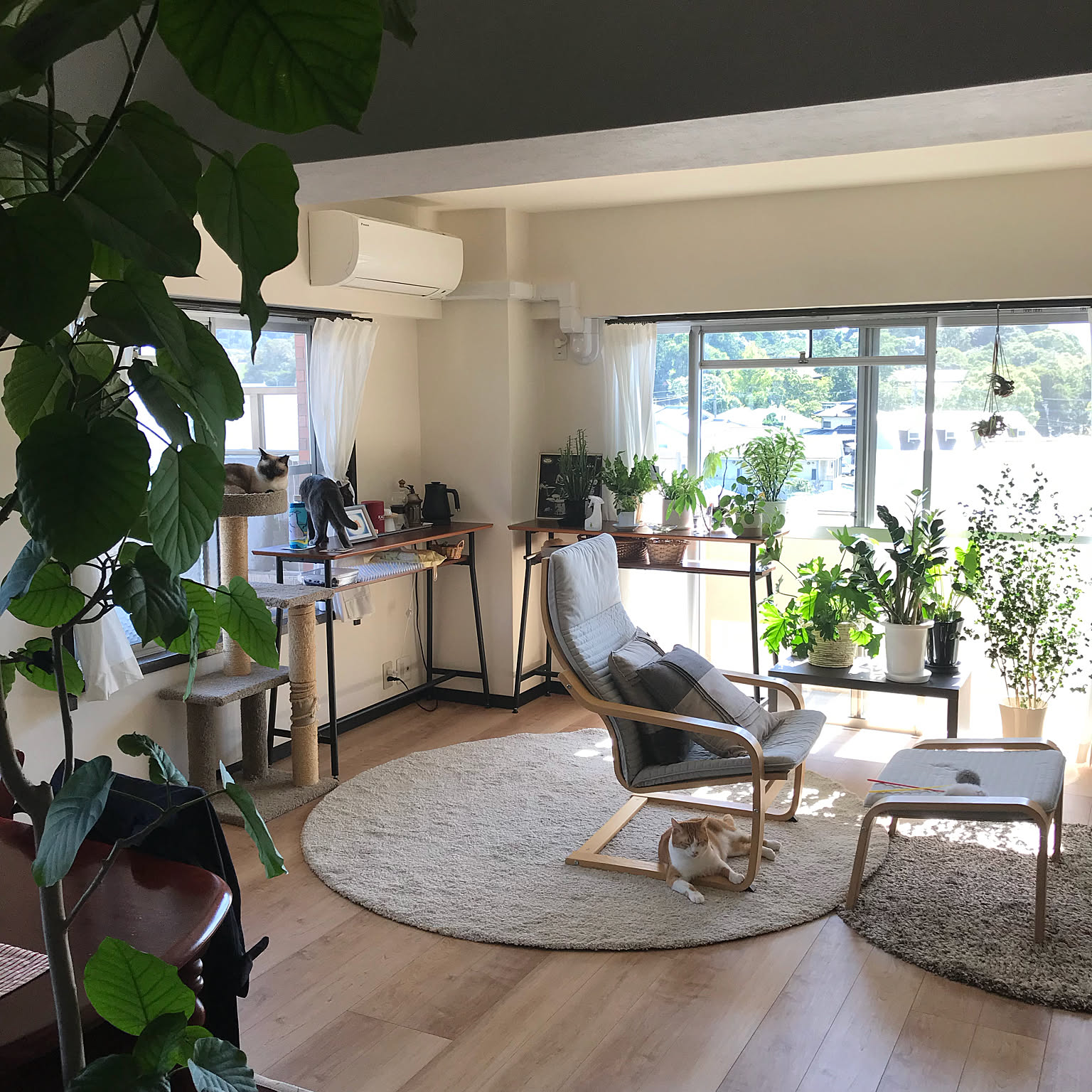 ポエングのオットマンのおすすめ商品とおしゃれな実例 ｜ RoomClip