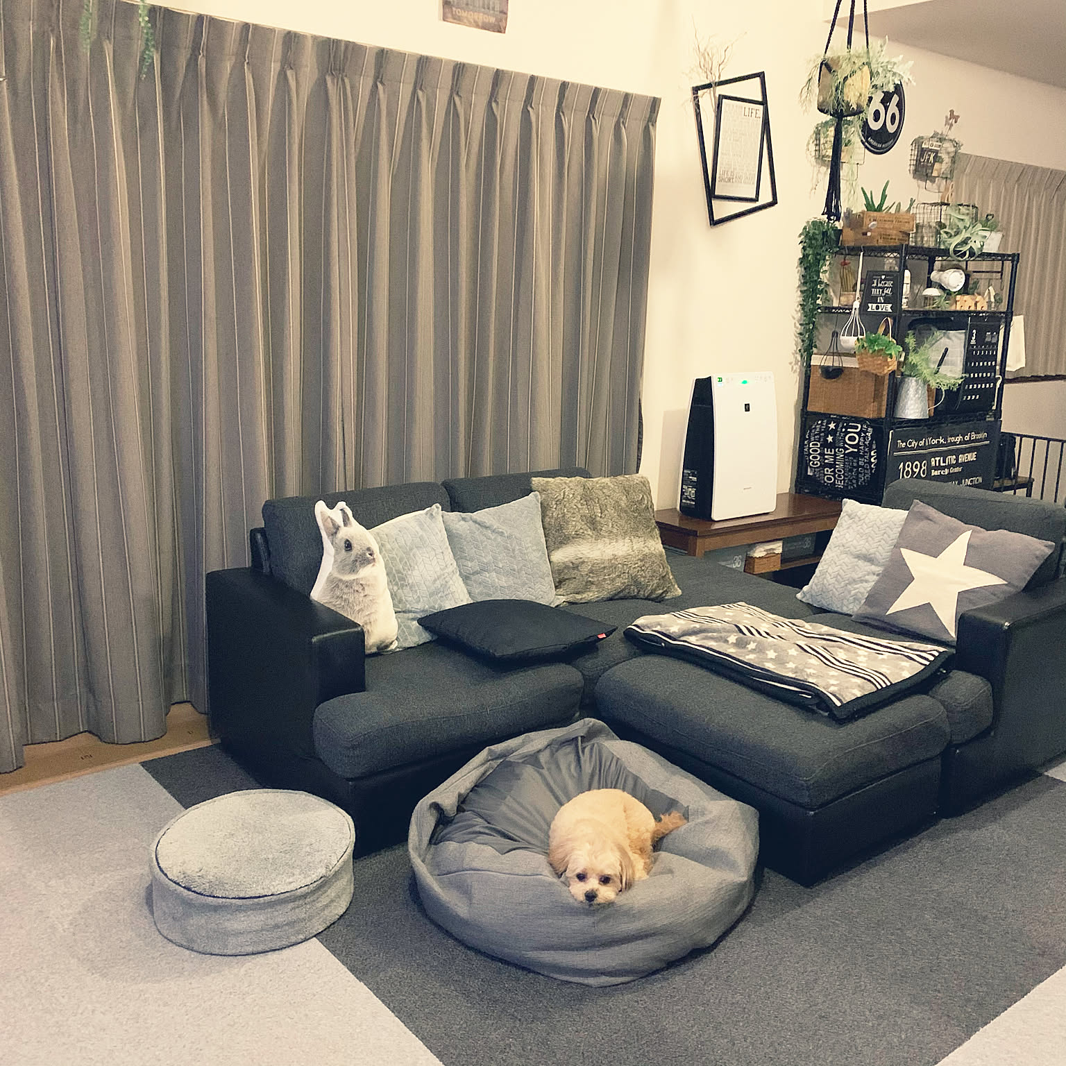 ビーズクッション niko and…のおすすめ商品とおしゃれな実例