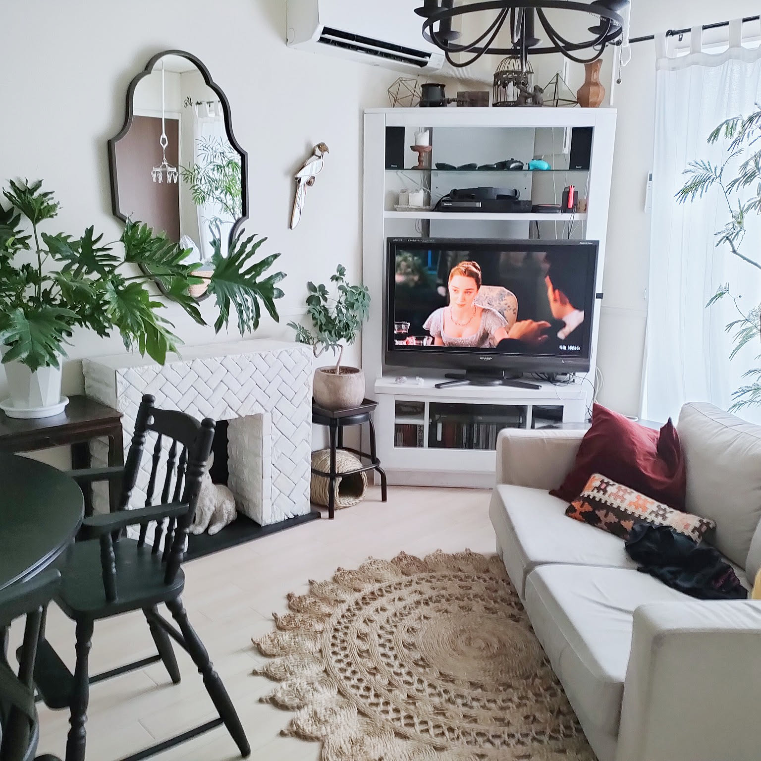 インテリアに！玄関、リビングにいかがですか♡大型・フィンデンドロン セローム インテリアに！玄関、リビングにいかがですか♡大型・フィンデンドロン