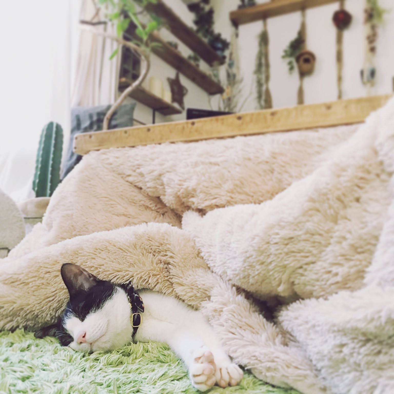 ㉒☆ベッド☆コタツにも☆コンパクト☆テラス☆キャットハウス