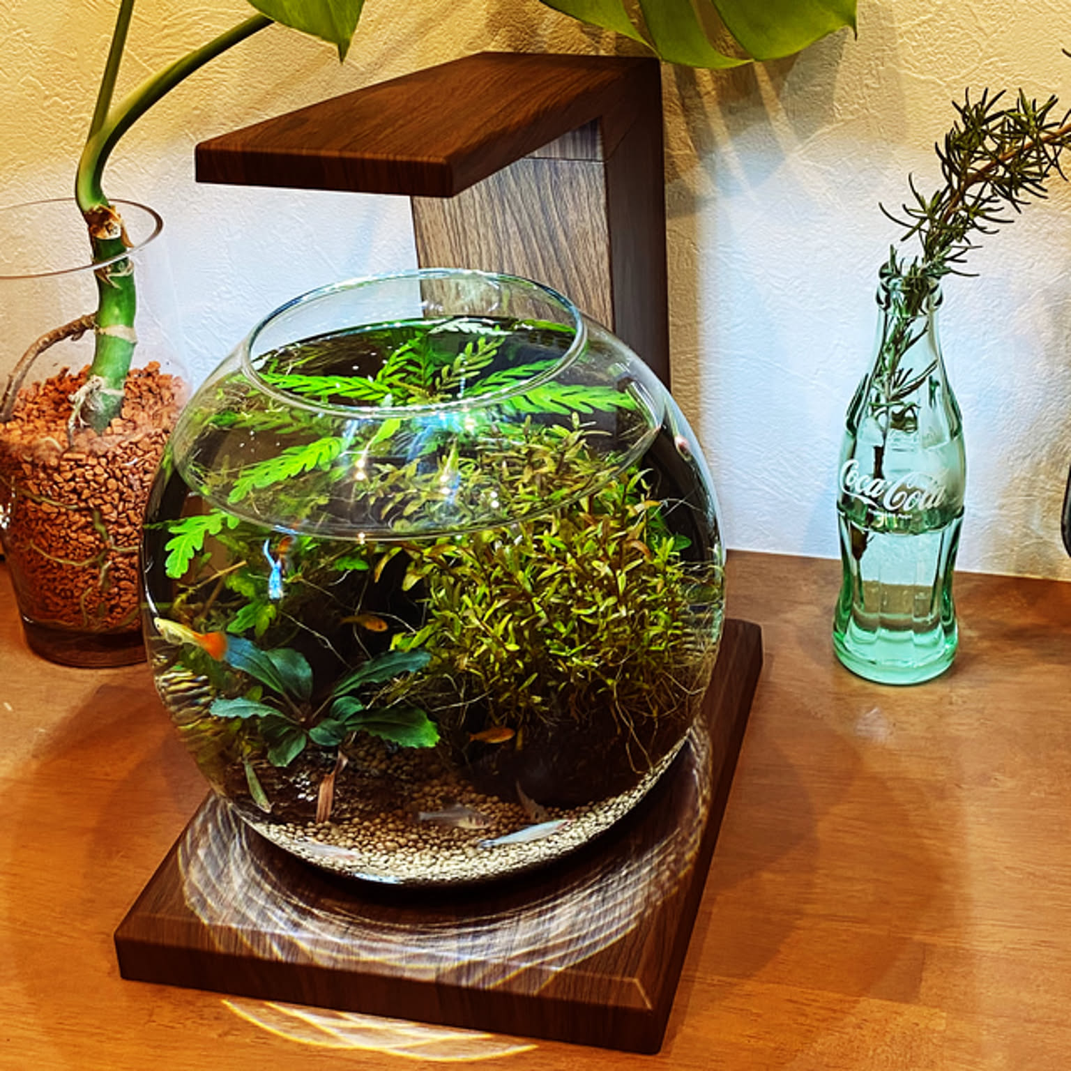 グラスアクア ペルコ　ダークウッド グラスアクア PERCO B-Dark Wood オールインワン水槽ペルコ