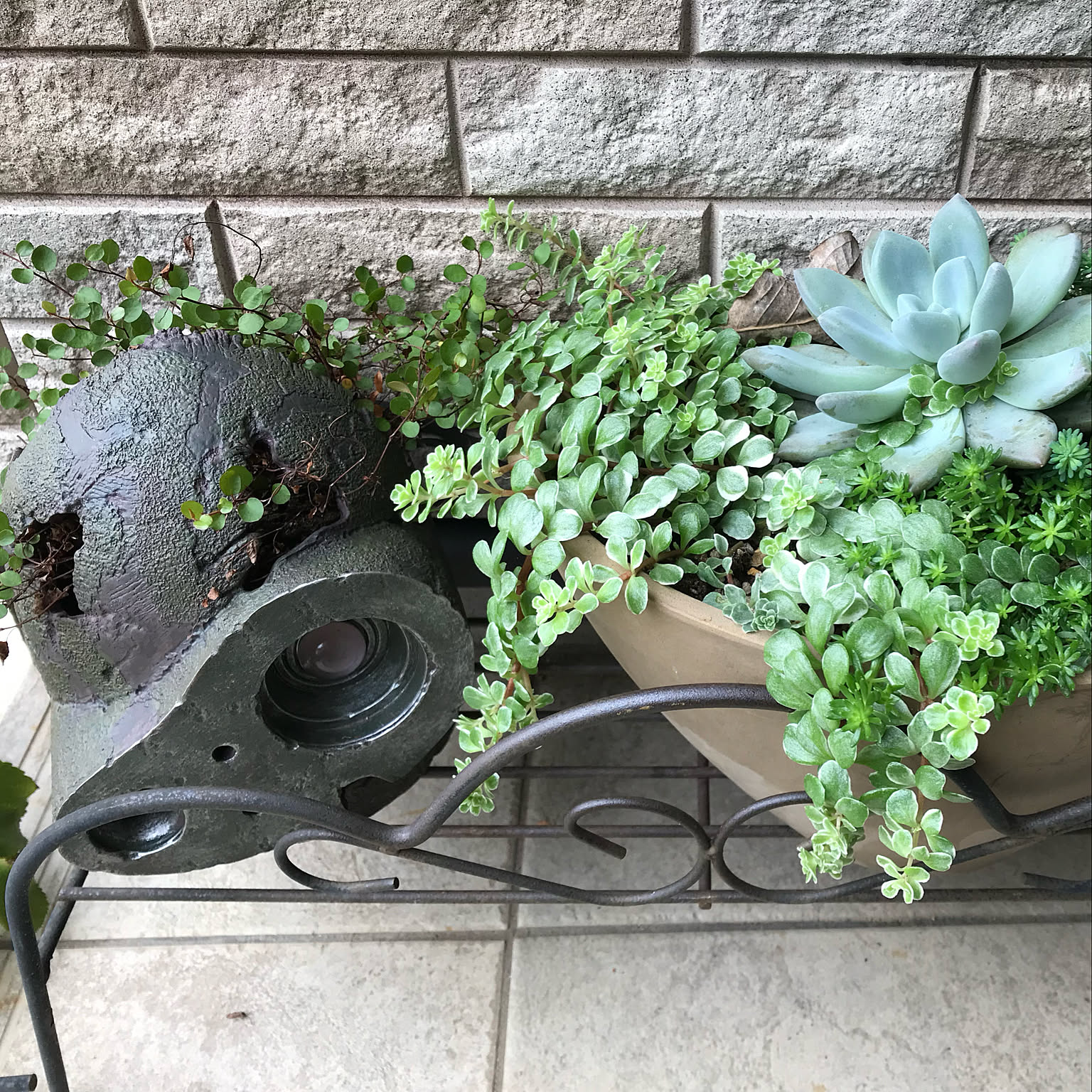 1de8596f0053595e862db5f81fa037