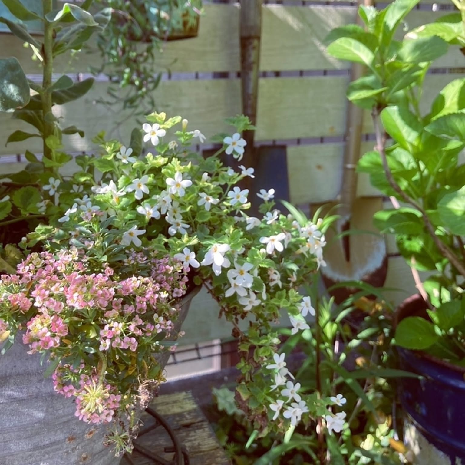 1e0a65638d7a594563ae2ebeb46d65