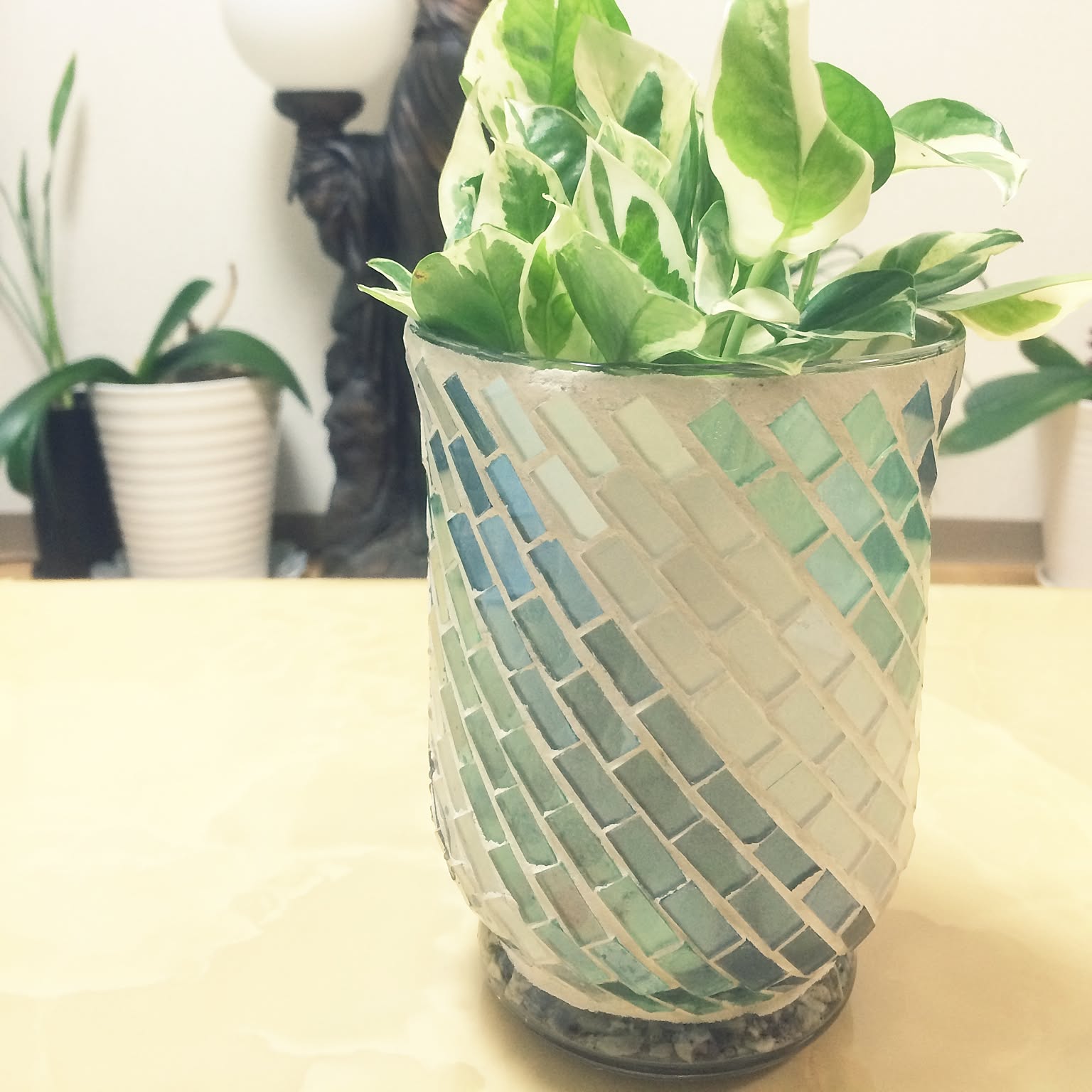 観葉植物 モザイクタイル鉢のおすすめ商品とおしゃれな実例  