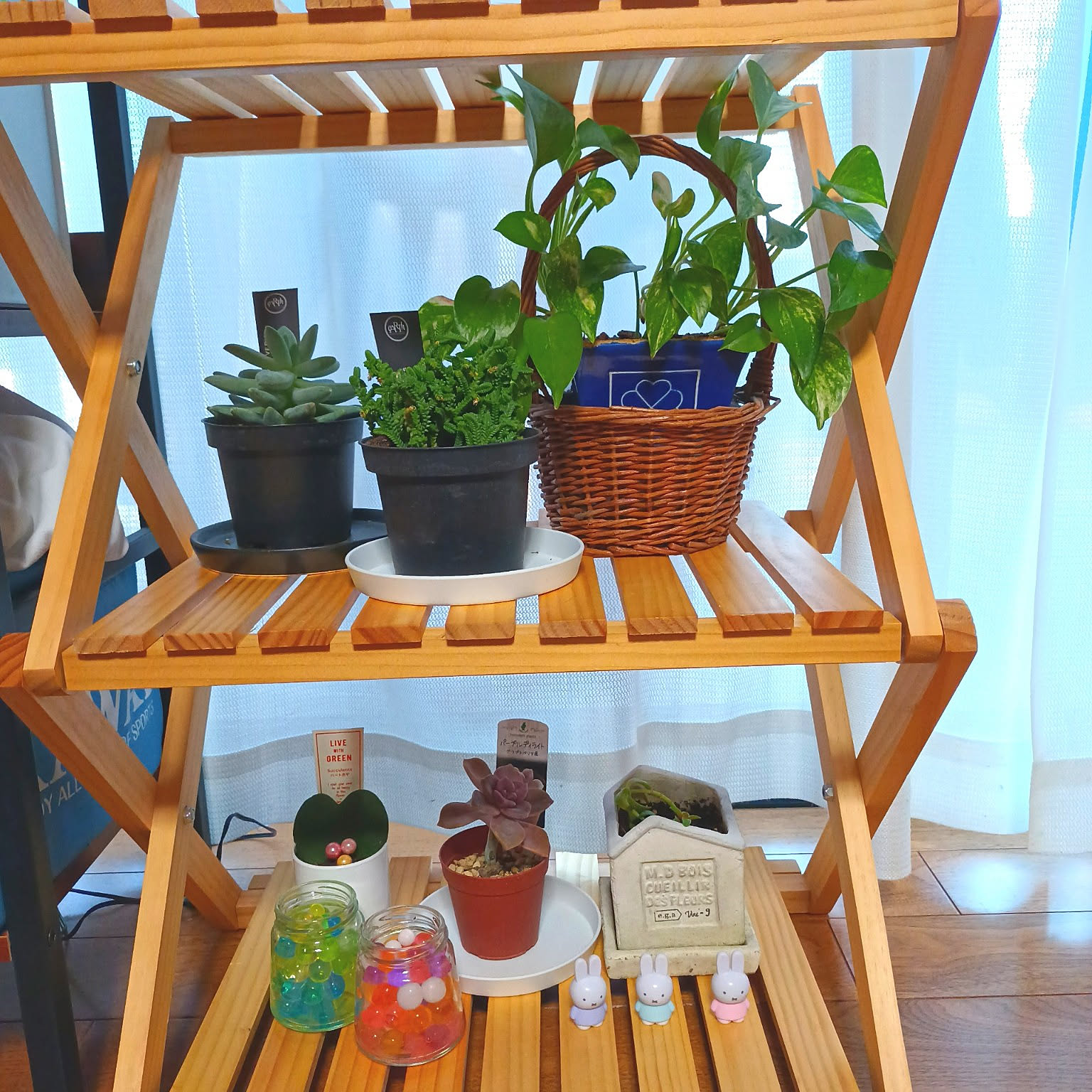 多肉植物 折りたたみラックのおすすめ商品とおしゃれな実例 多肉植物 折りたたみラックのおすすめ商品とおしゃれな実例
