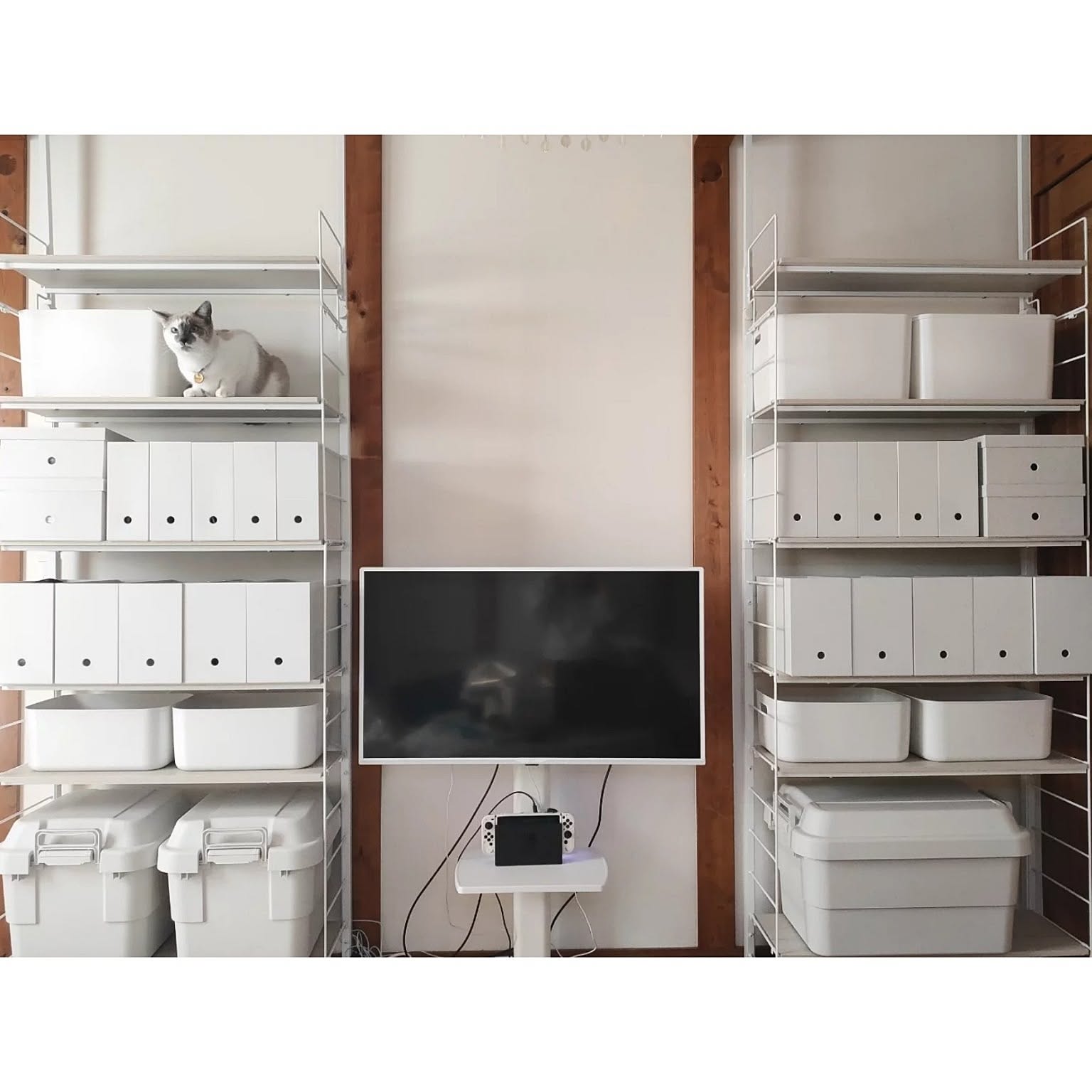 1f6710669e816538e3580d2fe2f5e3