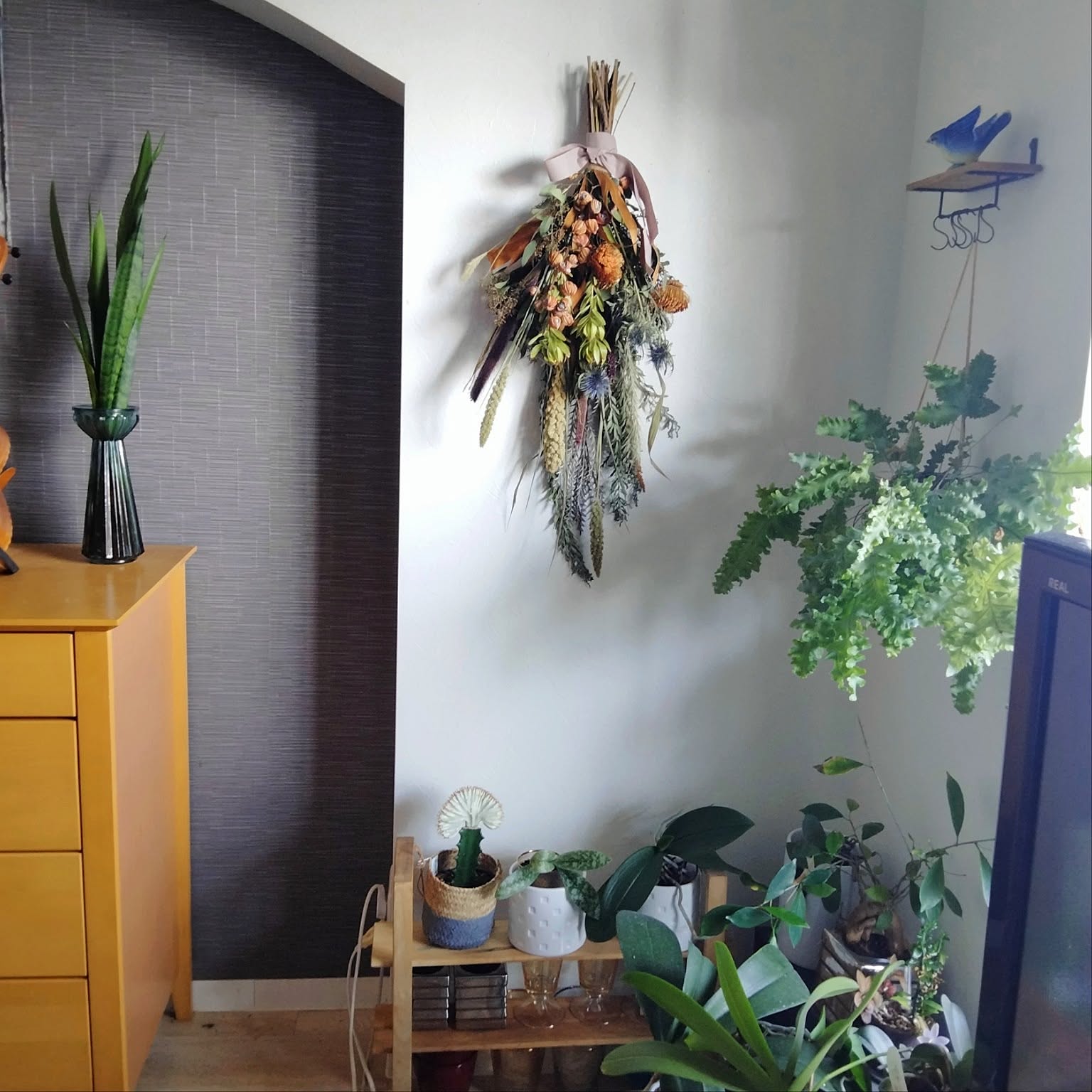 ドライフラワー☆グリーンの爽やかリース☆エリンジューム癒し