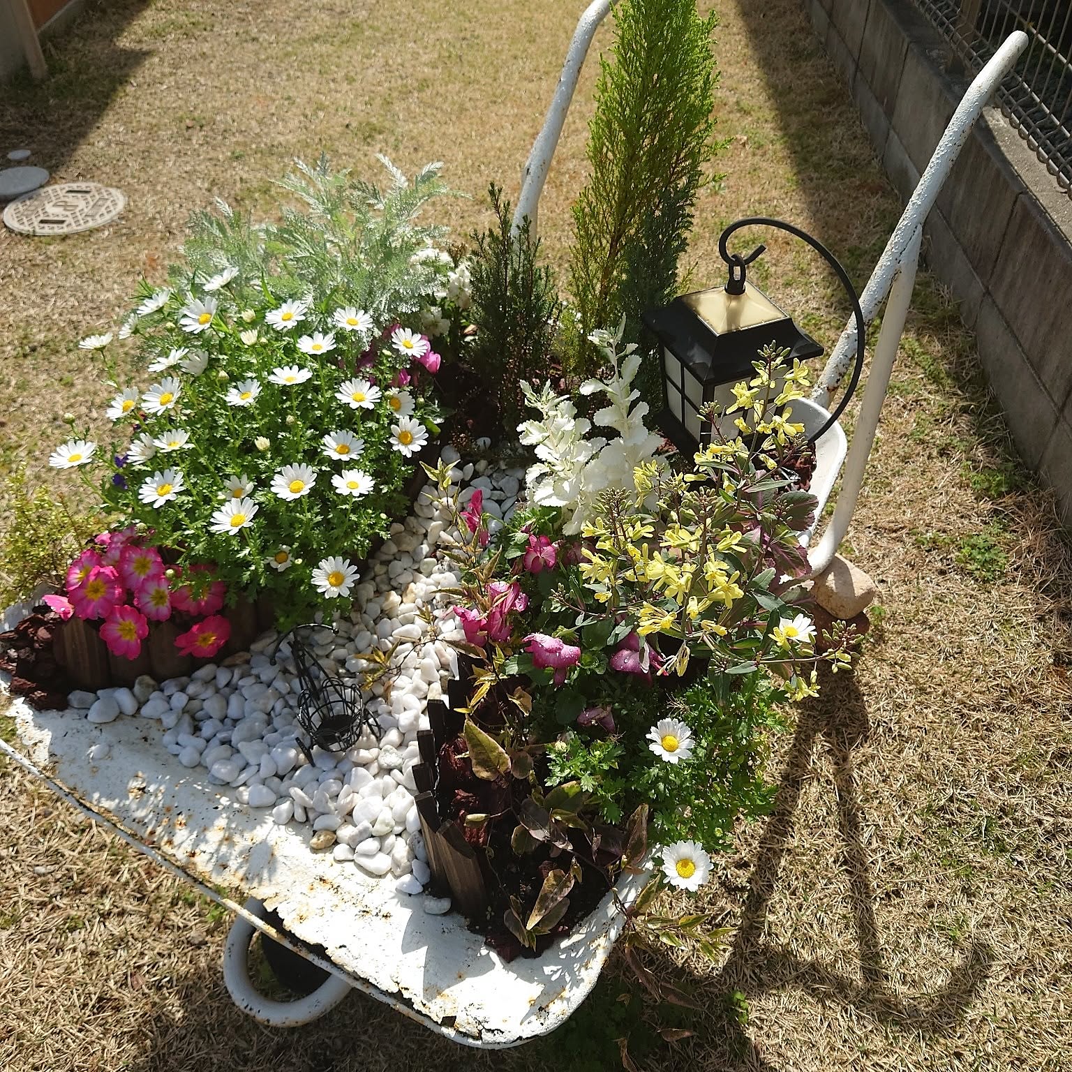 アンティーク 一輪車 【ヨーロッパから輸入 】ガーデン用 庭 ガーデニング 引き取り希望 木製 花台にも アンティーク 一輪車 【ヨーロッパから輸入 】ガーデン用 庭