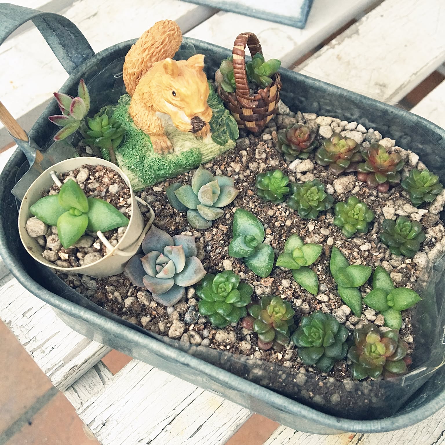 20d6a2a2743cd8356b4c07be472881