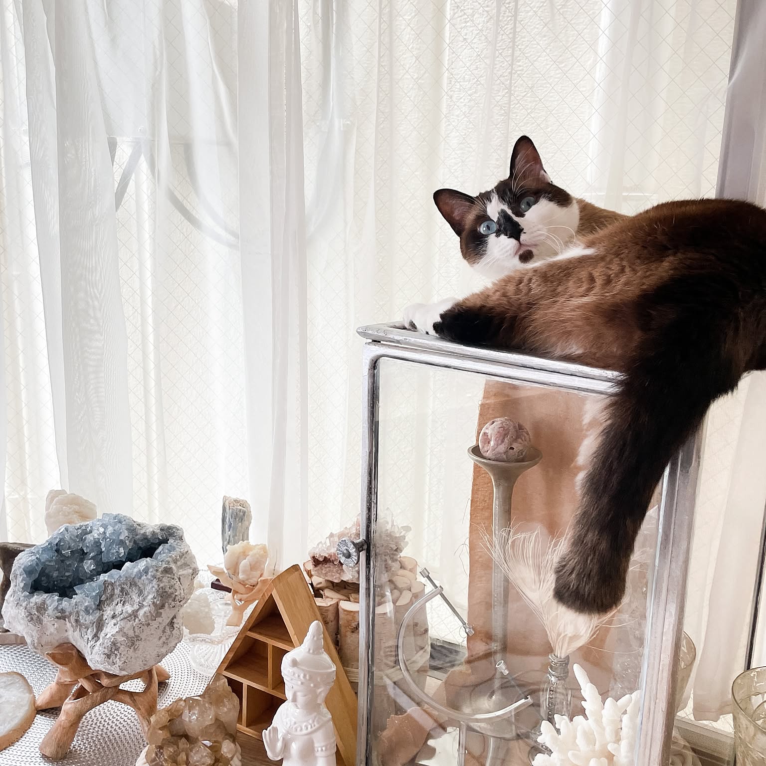 水晶置きのインテリア実例 ｜ RoomClip（ルームクリップ）