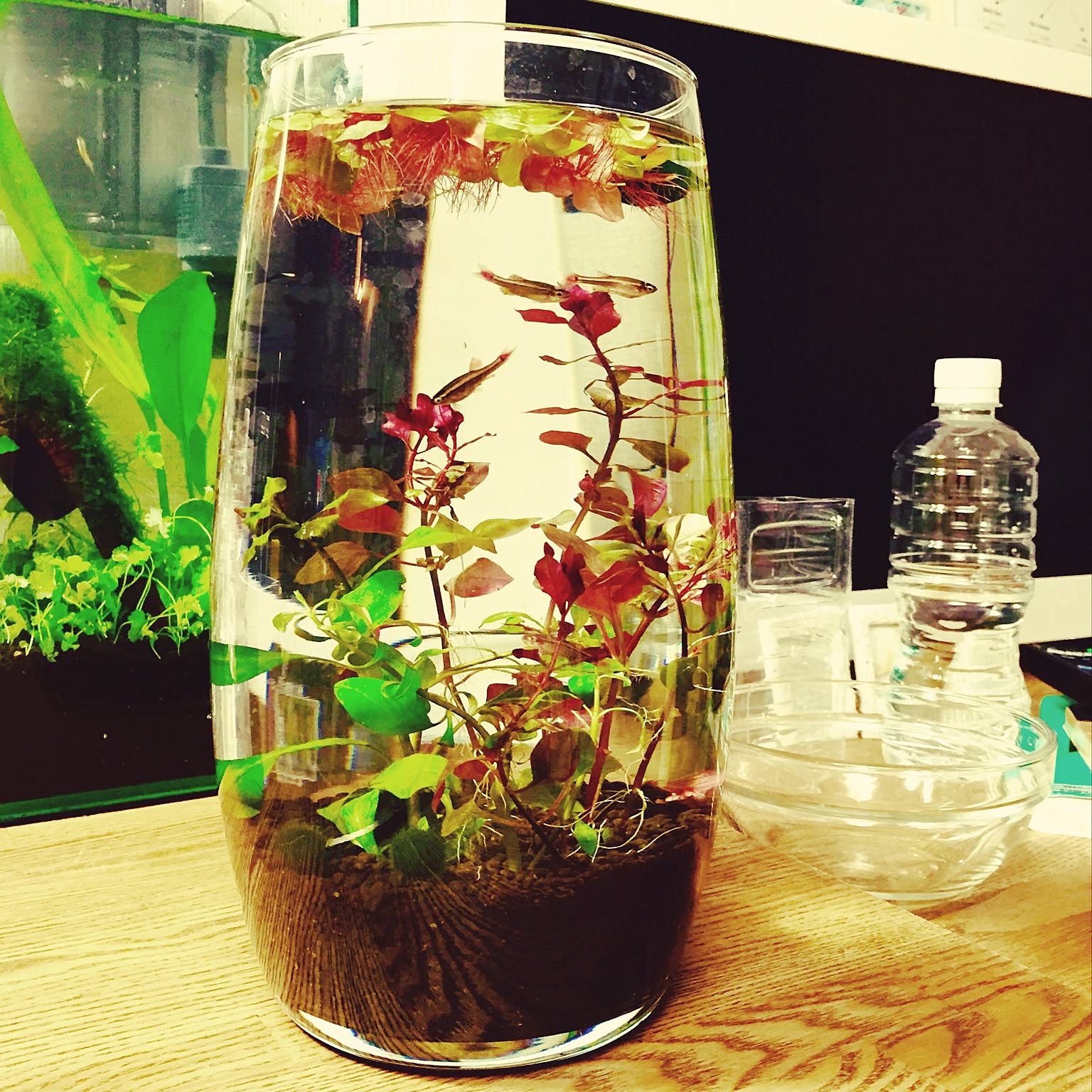 2246df338e23e6b5c53a860e48c012