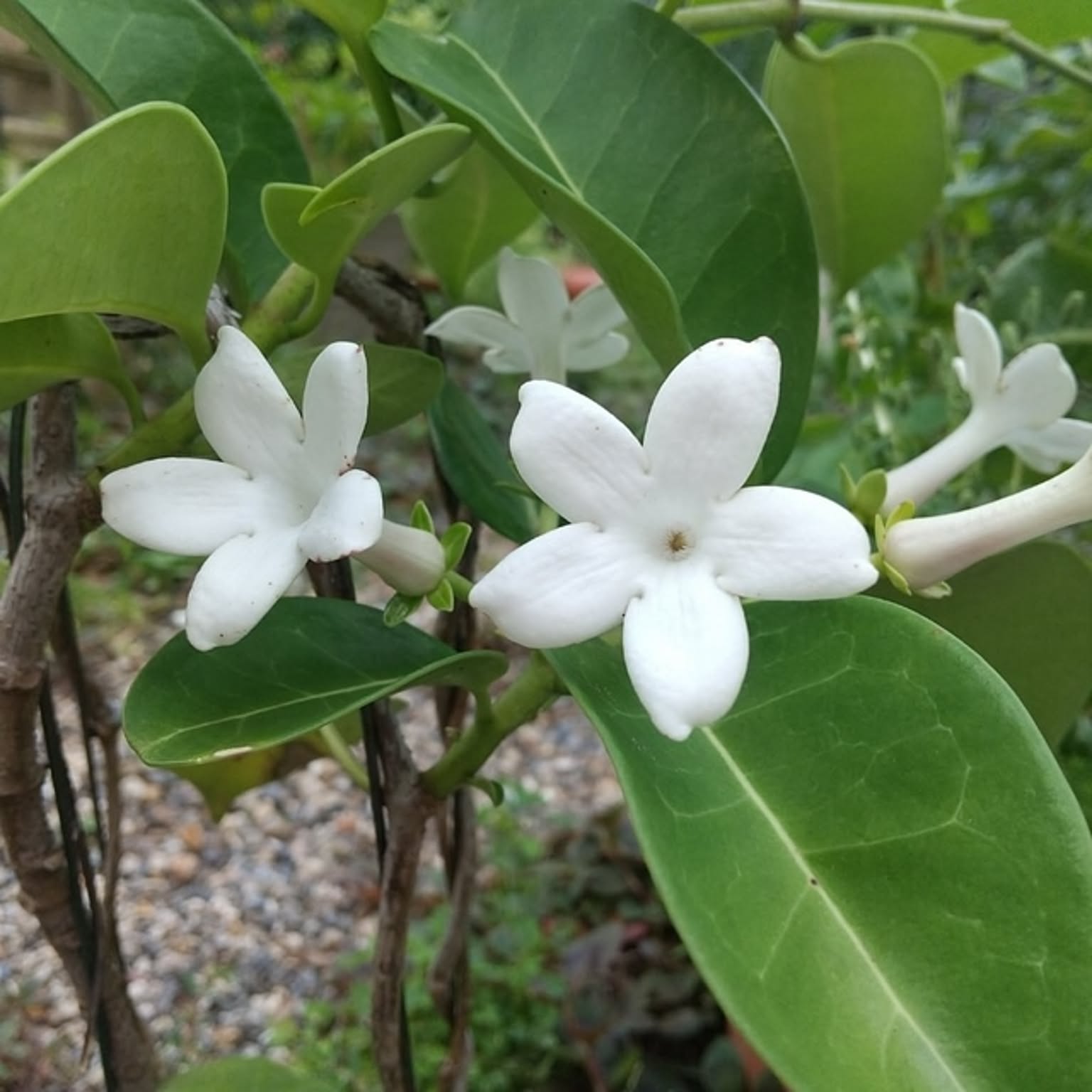 2354040563e81825a6e74755eae56e