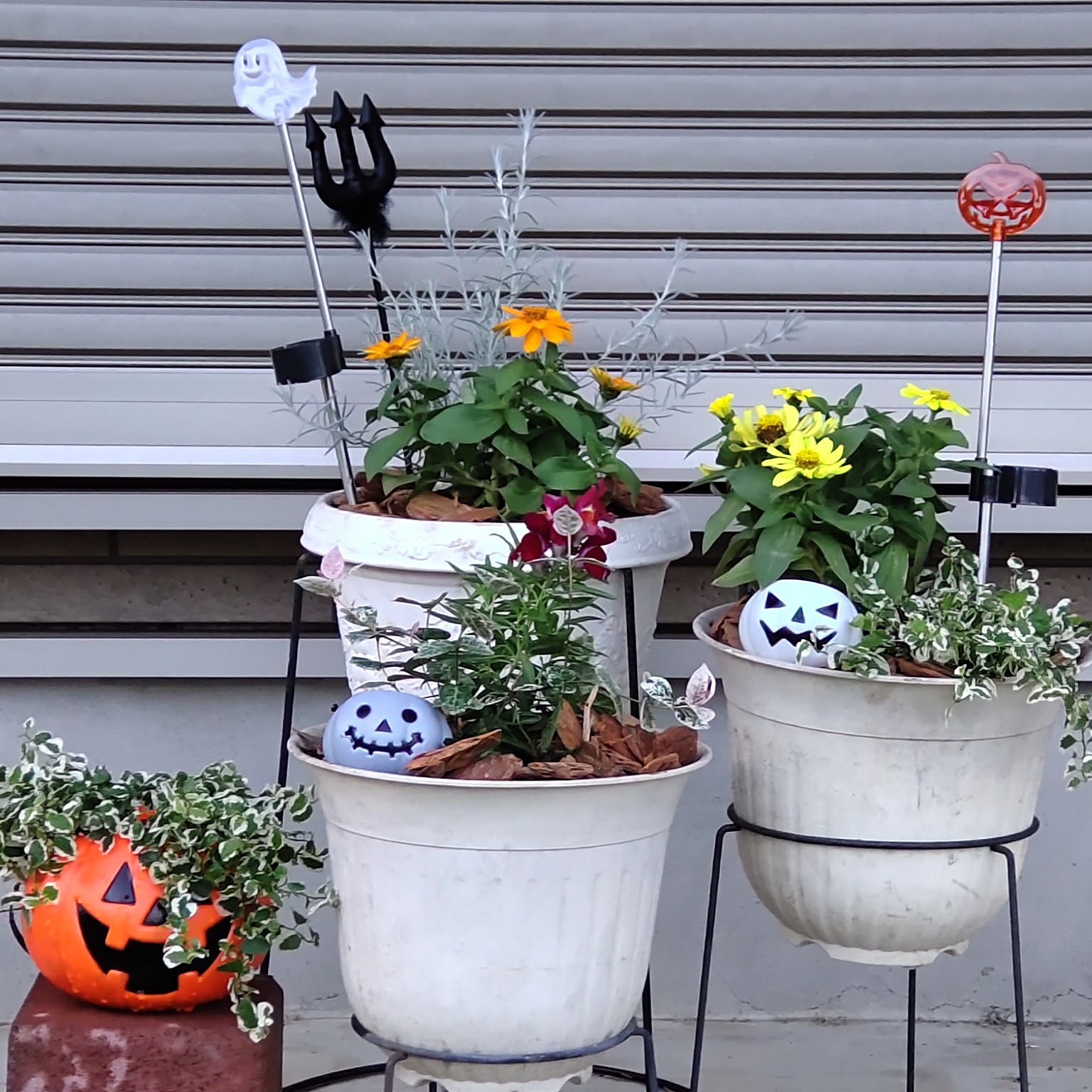 ガーデニング ケーヨーD2のおすすめ商品とおしゃれな実例 ｜ RoomClip