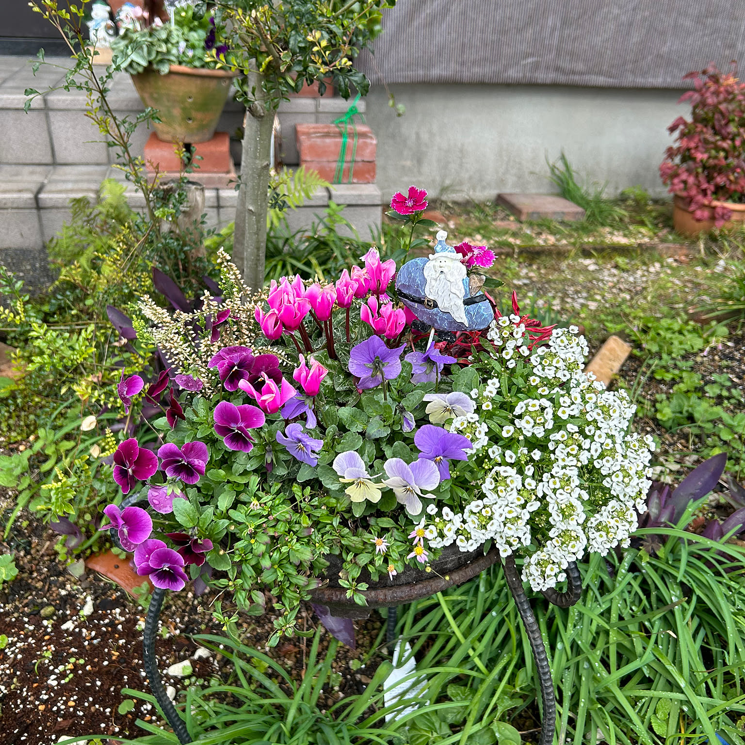 寄せ植え DAISO ガーデンピックのインテリア実例 ｜ RoomClip（ルーム