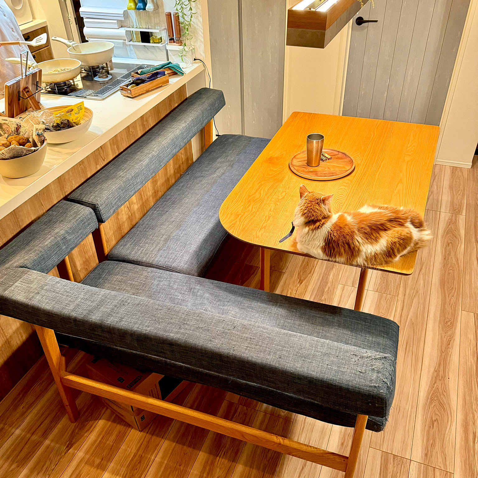 リビングハウスのダイニングテーブルのおすすめ商品とおしゃれな実例