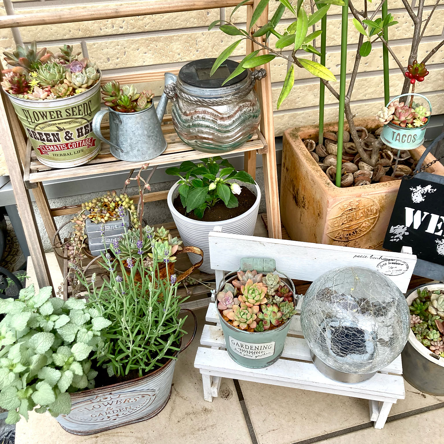 Kさん様 多肉植物棚　TG-IOR2 Kさん様 多肉植物棚 TG-IOR2 Kさん様 多肉植物棚 TG-IOR2 -