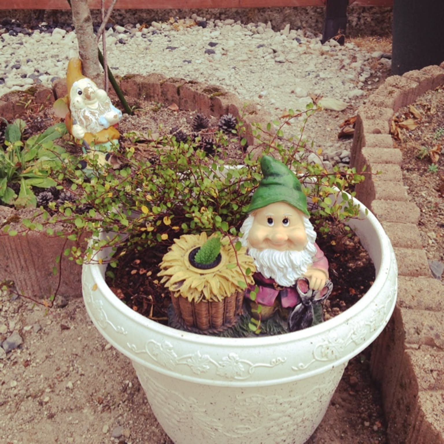 ガーデニング 小人の置物のおすすめ商品とおしゃれな実例 ｜ RoomClip