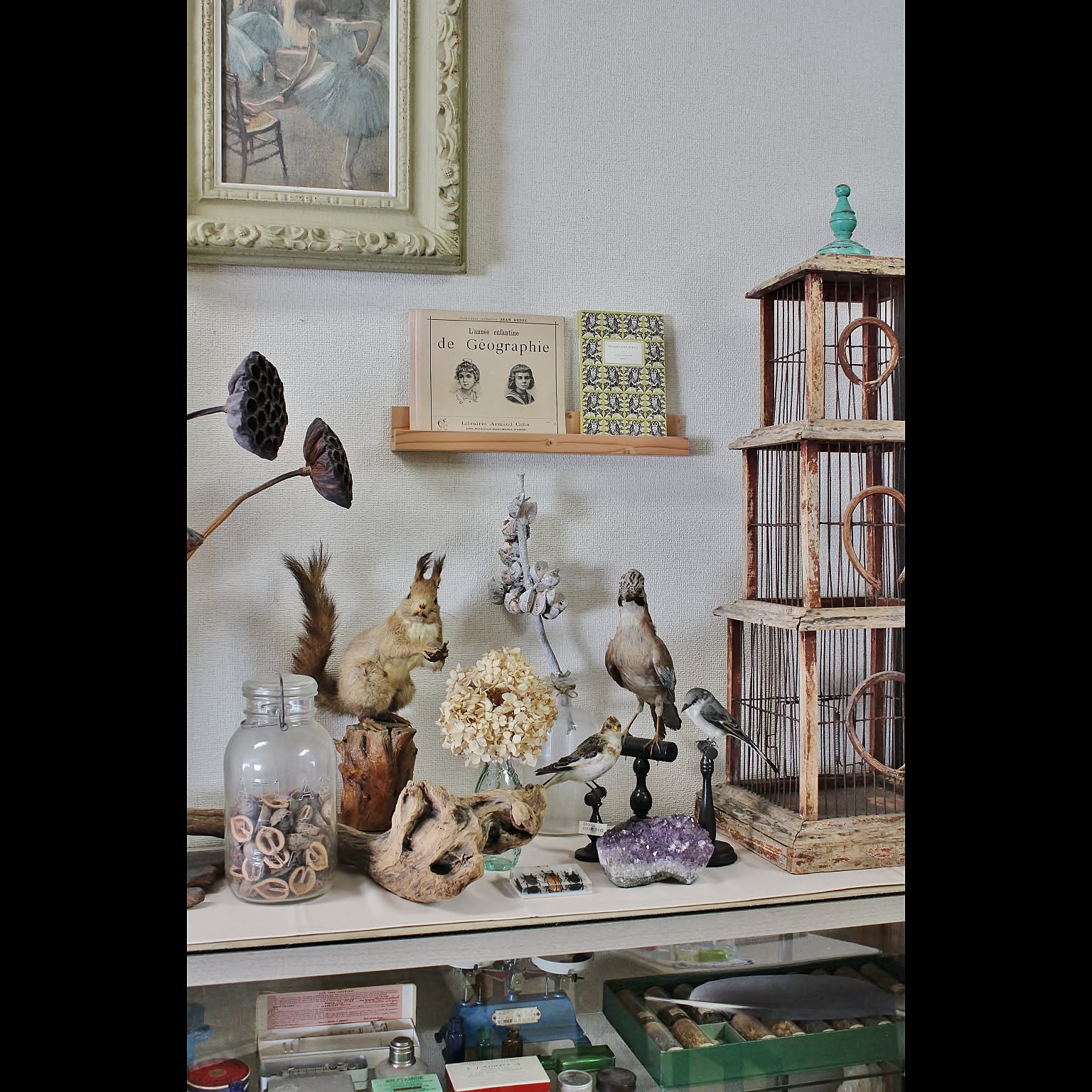 25957ef49bb67ab2c74248bb73c102