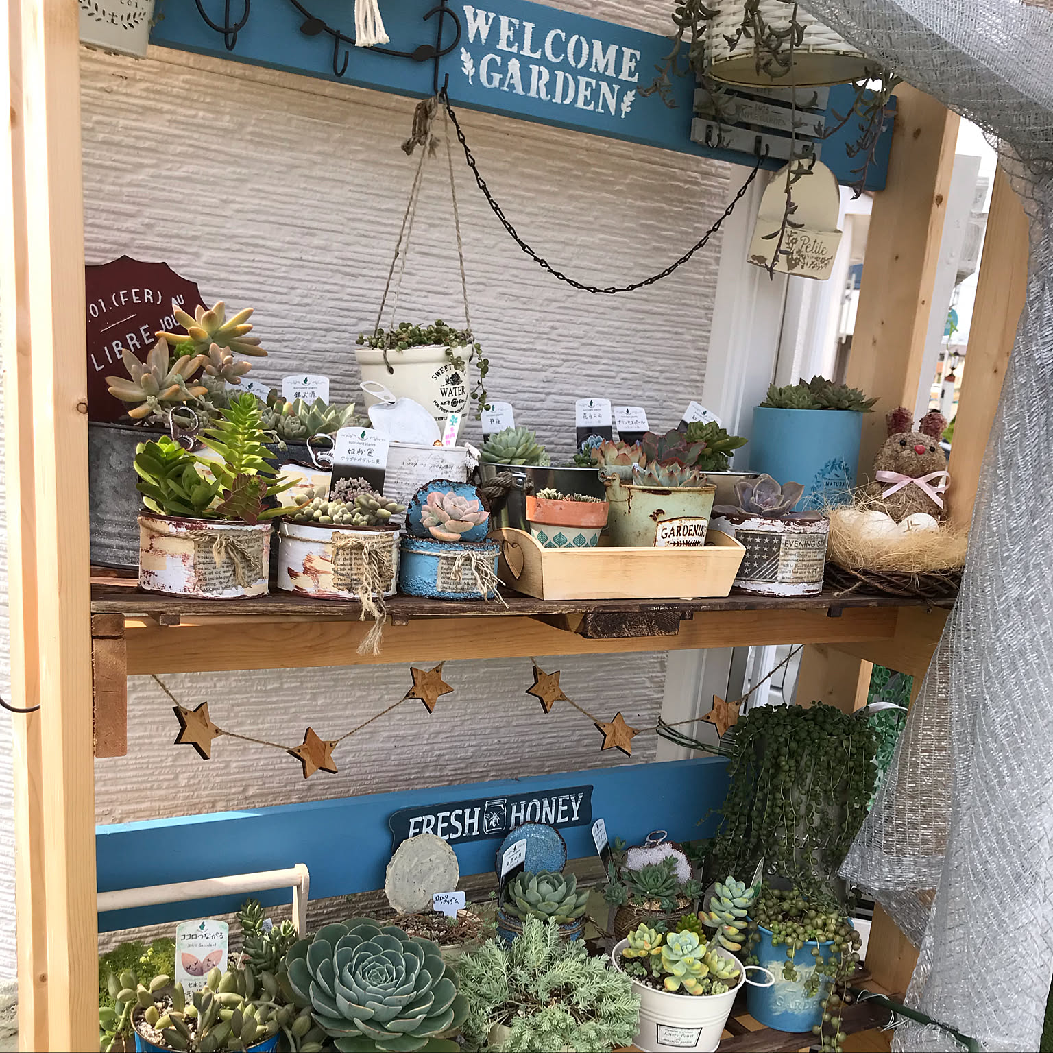 なおちゃん様 多肉植物棚 GAI-70NOA 施工例】 たくさんの多肉ちゃん達