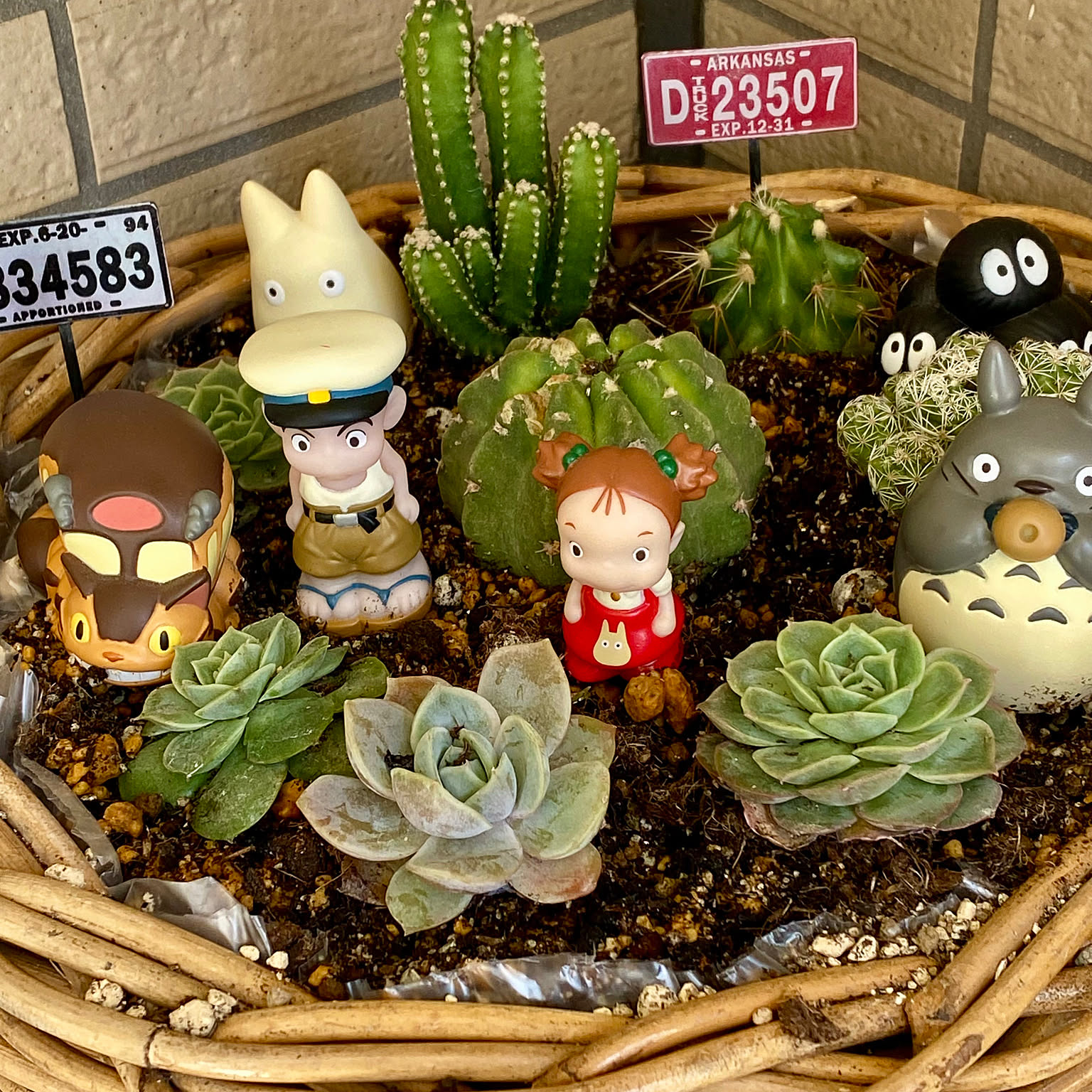 27330901e7eb8c7016cc18df8850d6