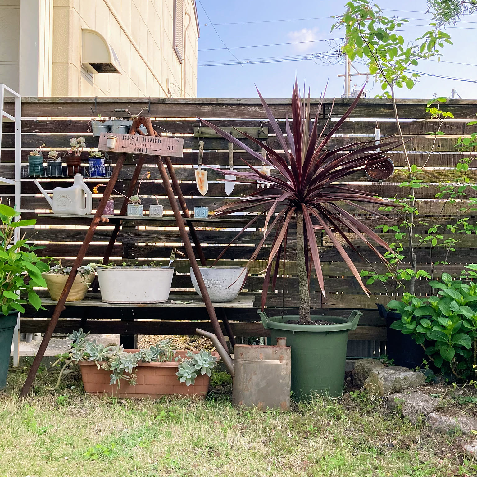 ジャンクガーデン ロックガーデンのインテリア実例 ｜ RoomClip