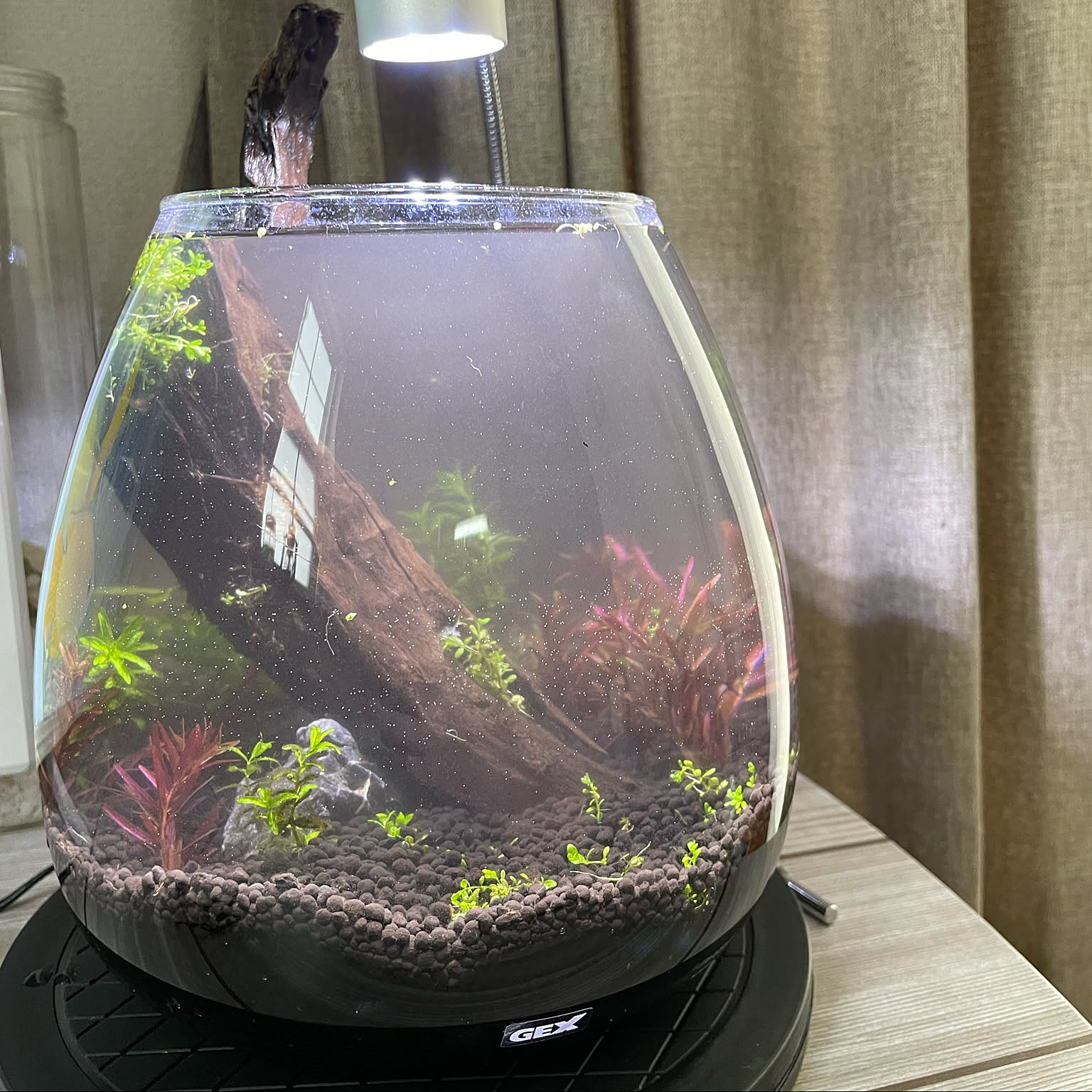 27bb4d5bae08ae5dbcf6c56c15690c