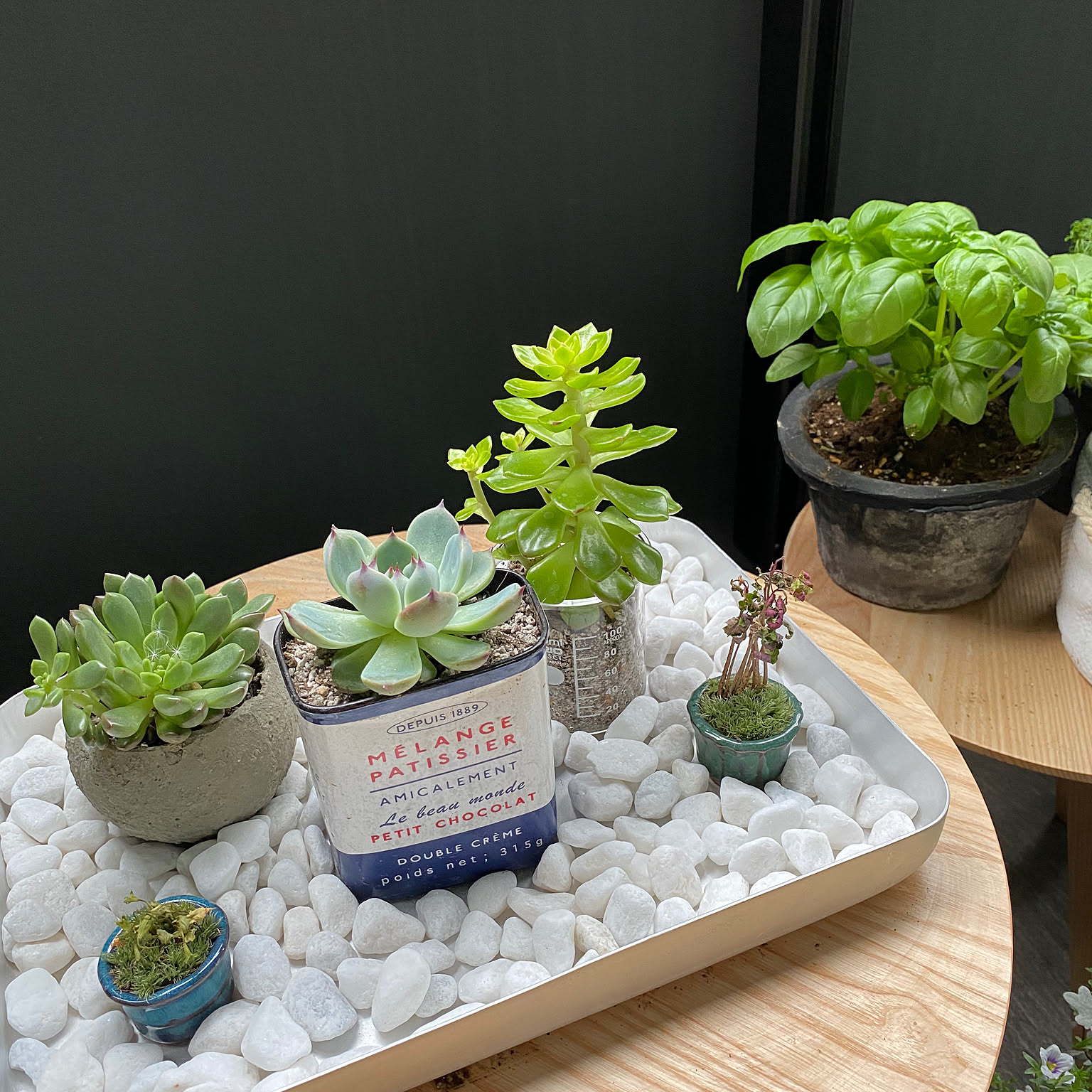 27c1f1c0ddb5c2b612d427132ec61d